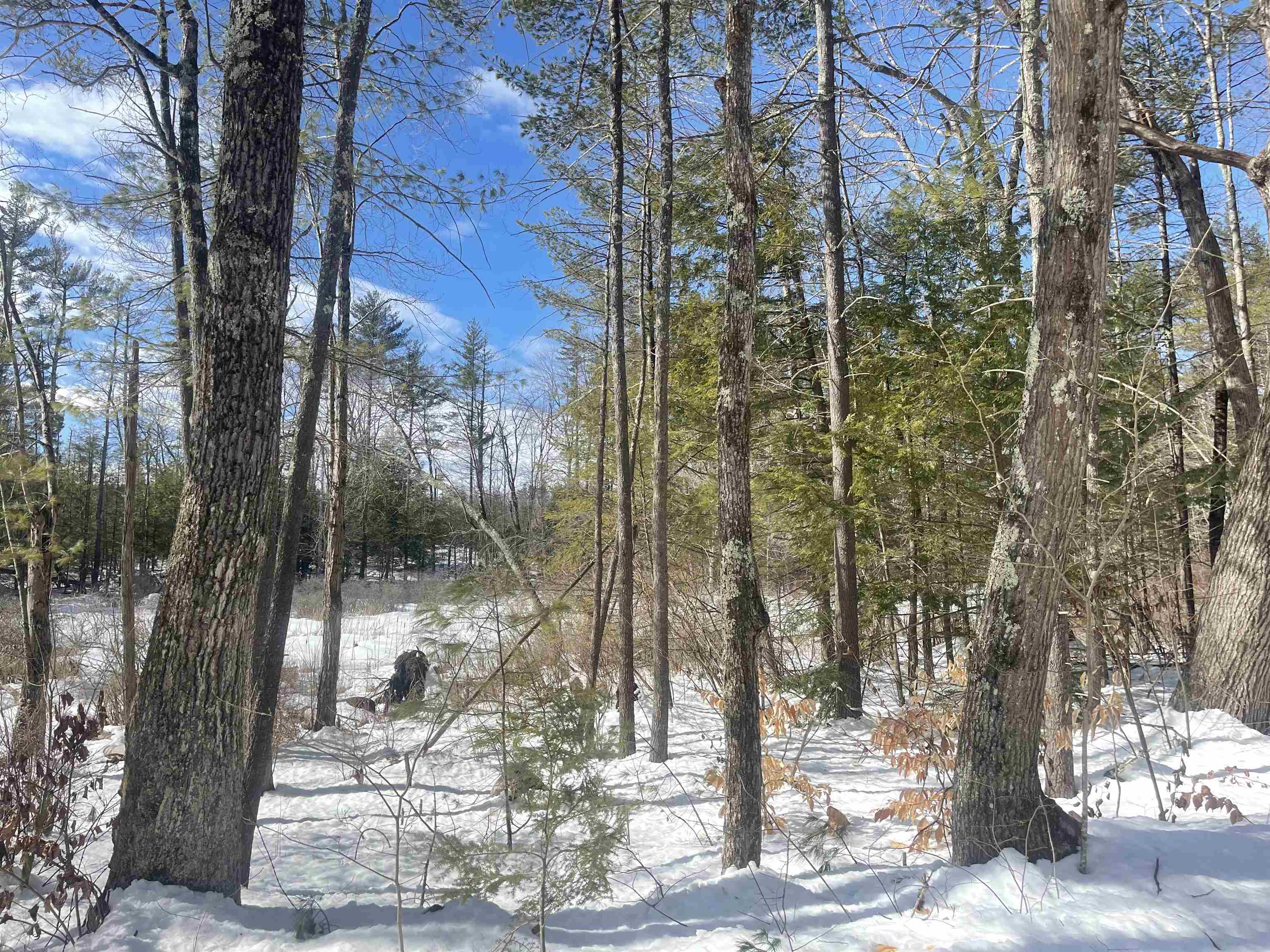 68-74 Branch Londonderry Turnpike