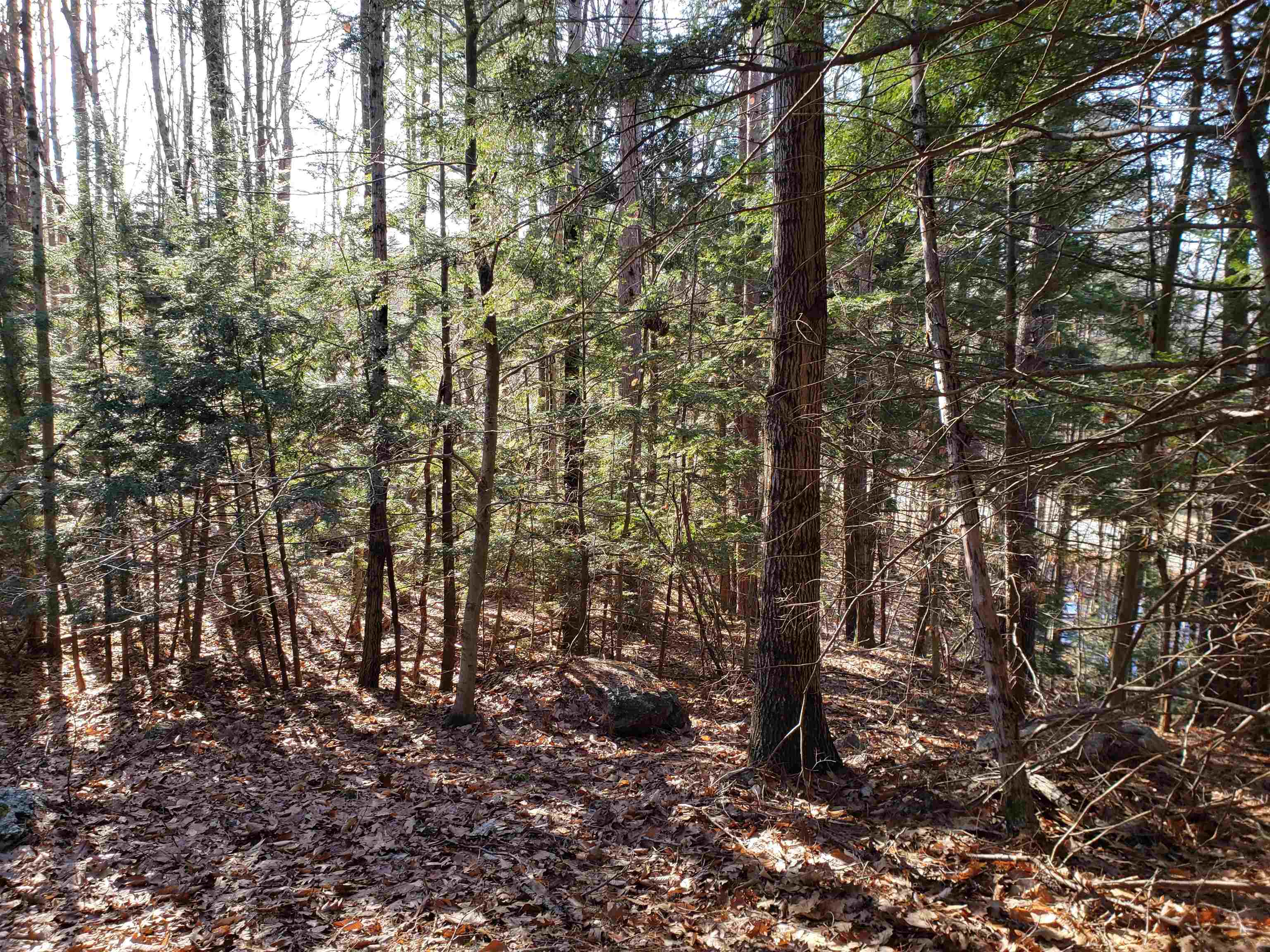 R14 Lot 10 Wildwood Drive