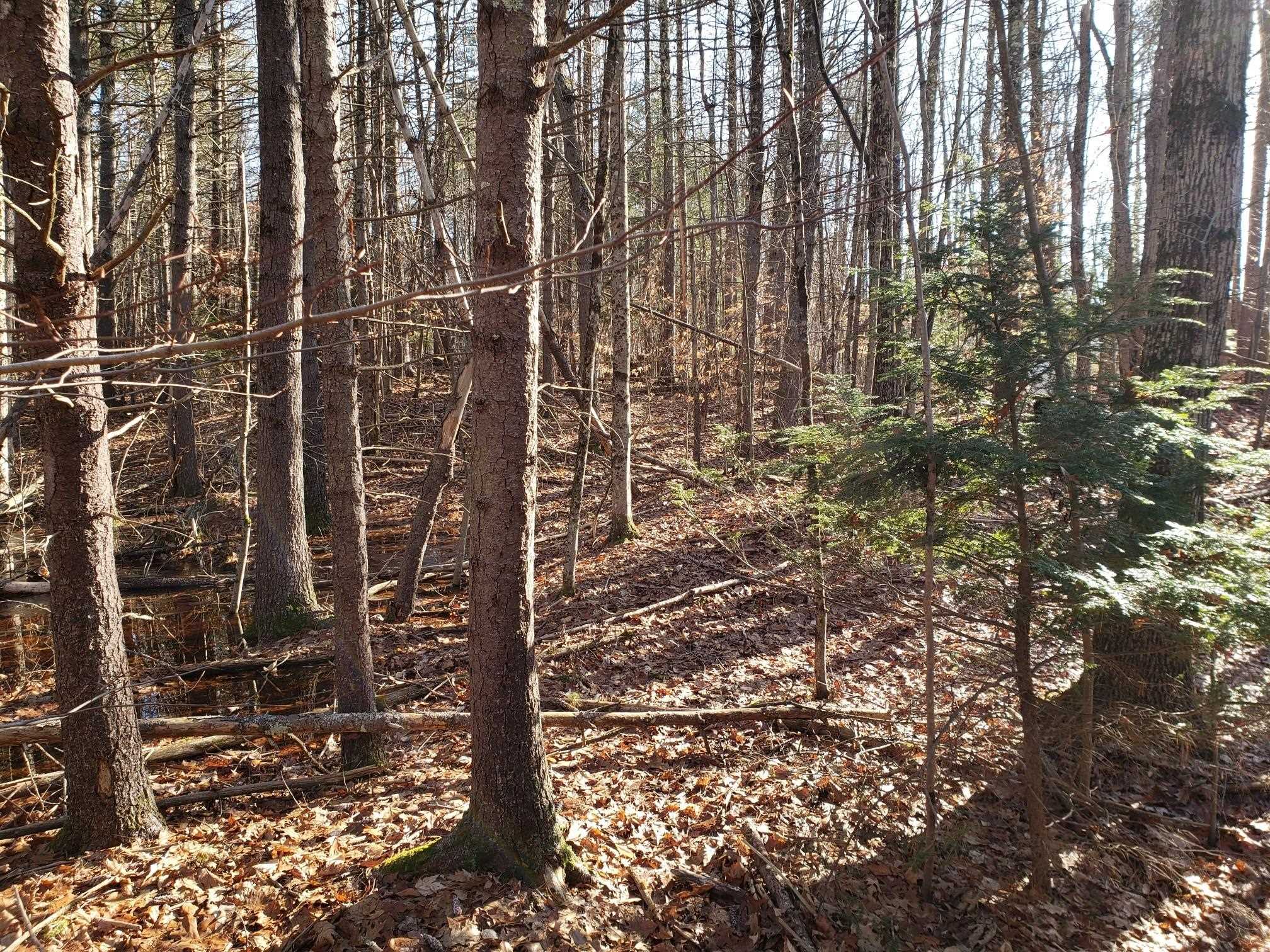 R14 Lot 10 Wildwood Drive