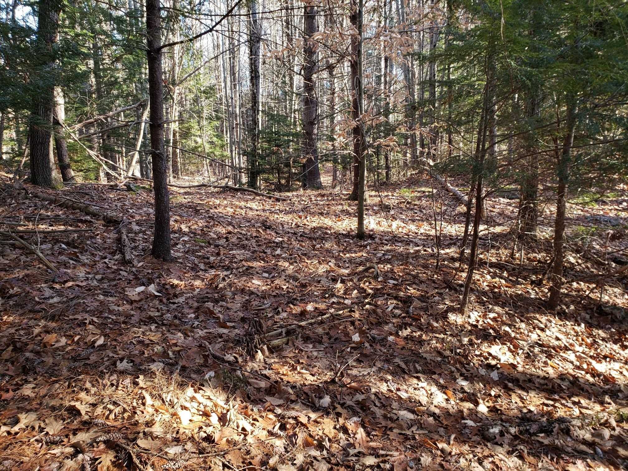 R14 Lot 10 Wildwood Drive