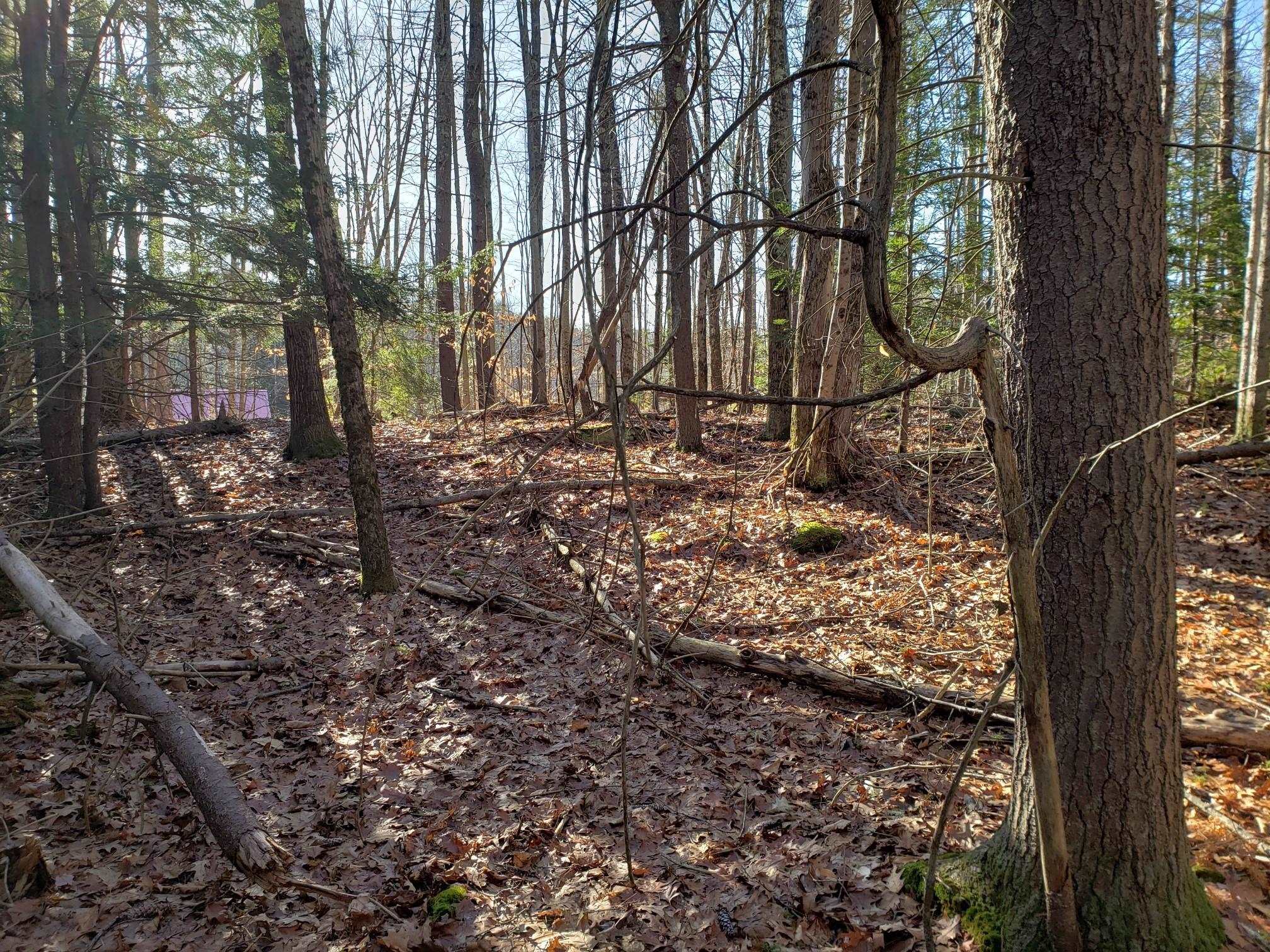 R14 Lot 10 Wildwood Drive