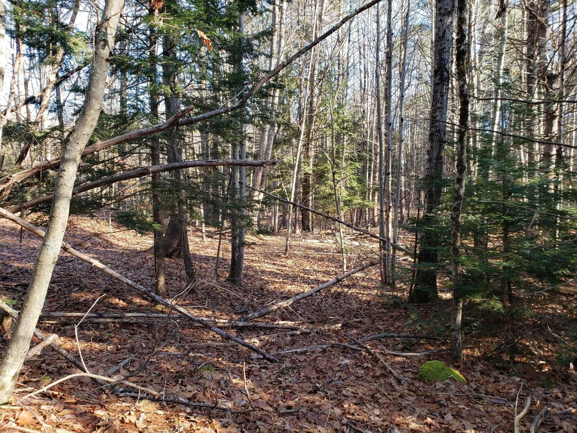 R14 Lot 10 Wildwood Drive