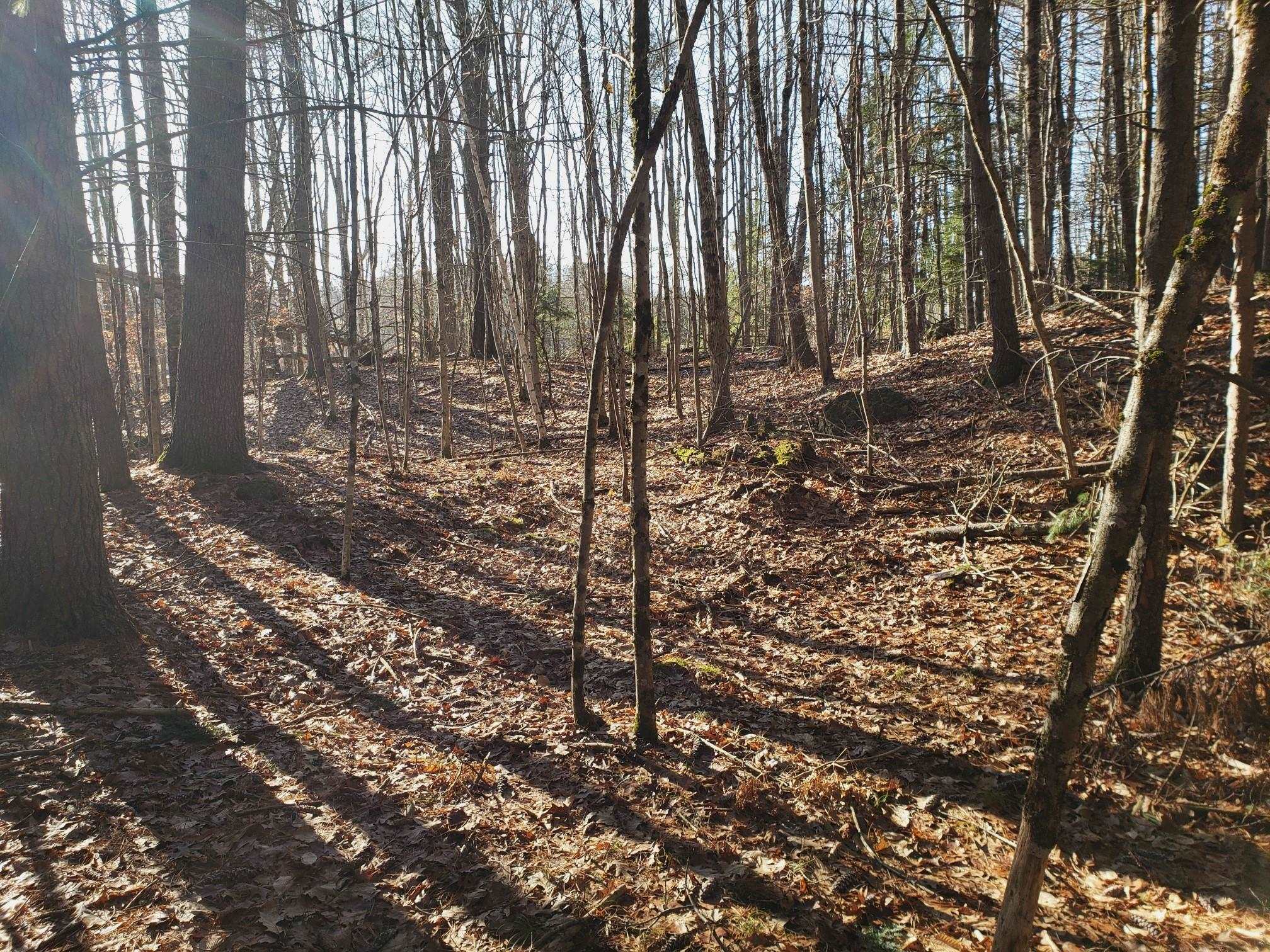 R14 Lot 10 Wildwood Drive