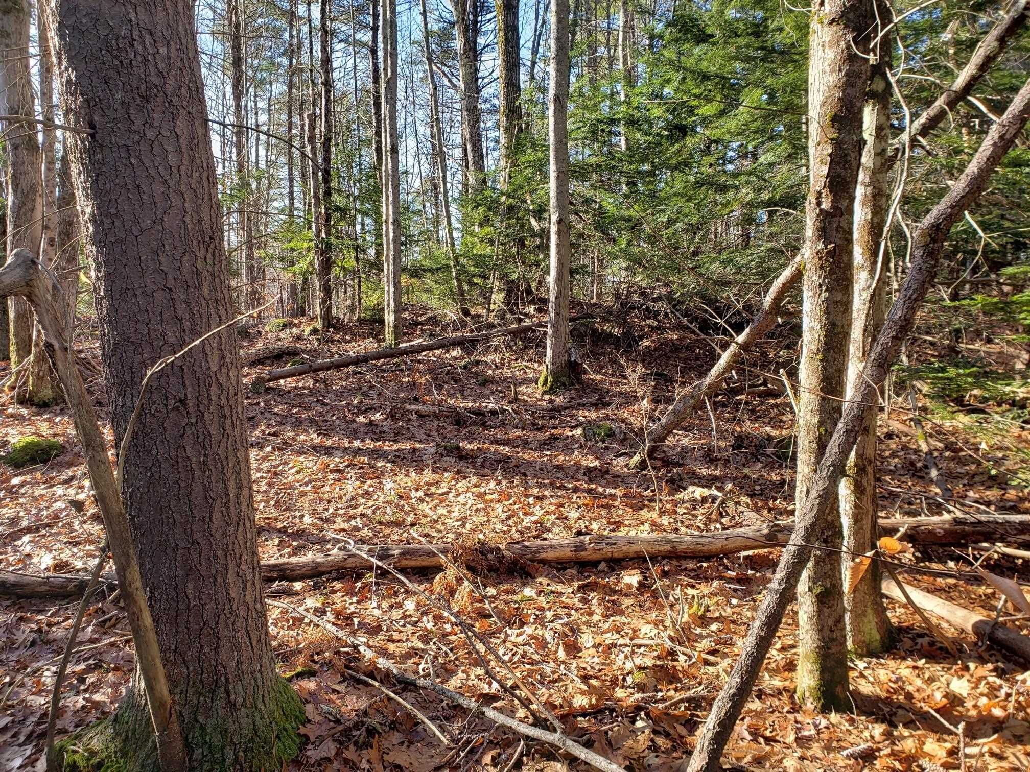 R14 Lot 10 Wildwood Drive