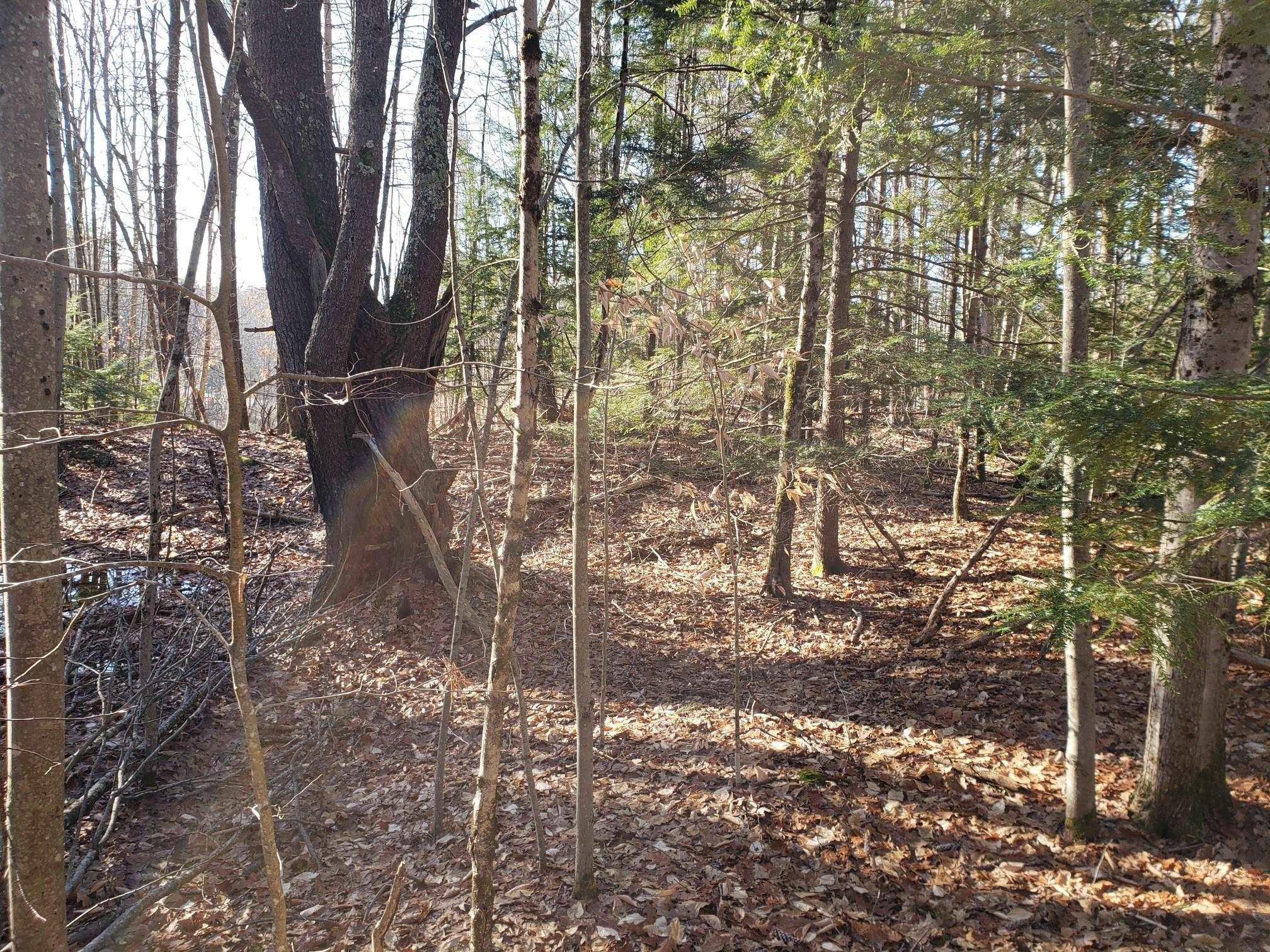 R14 Lot 10 Wildwood Drive