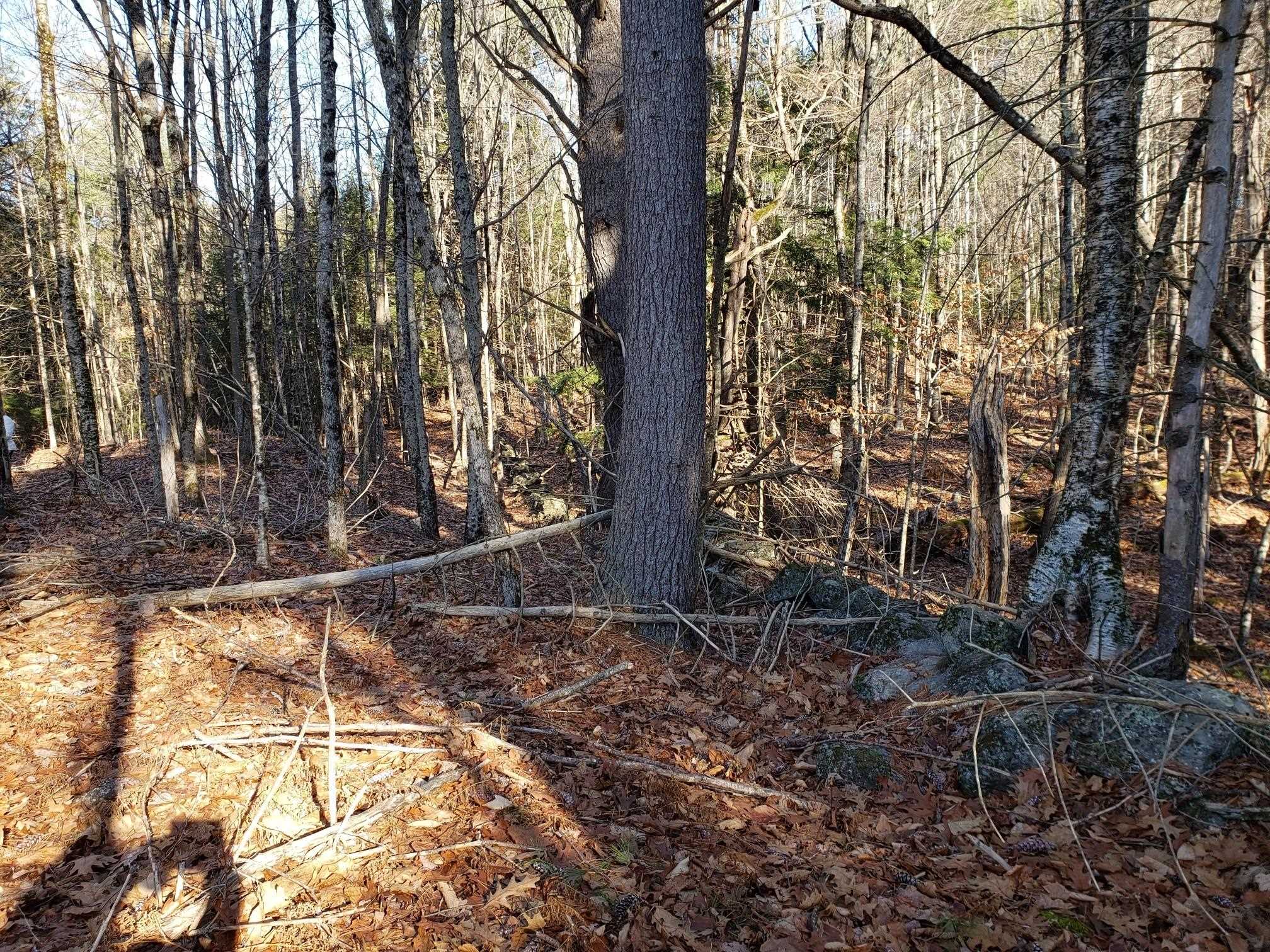 R14 Lot 10 Wildwood Drive