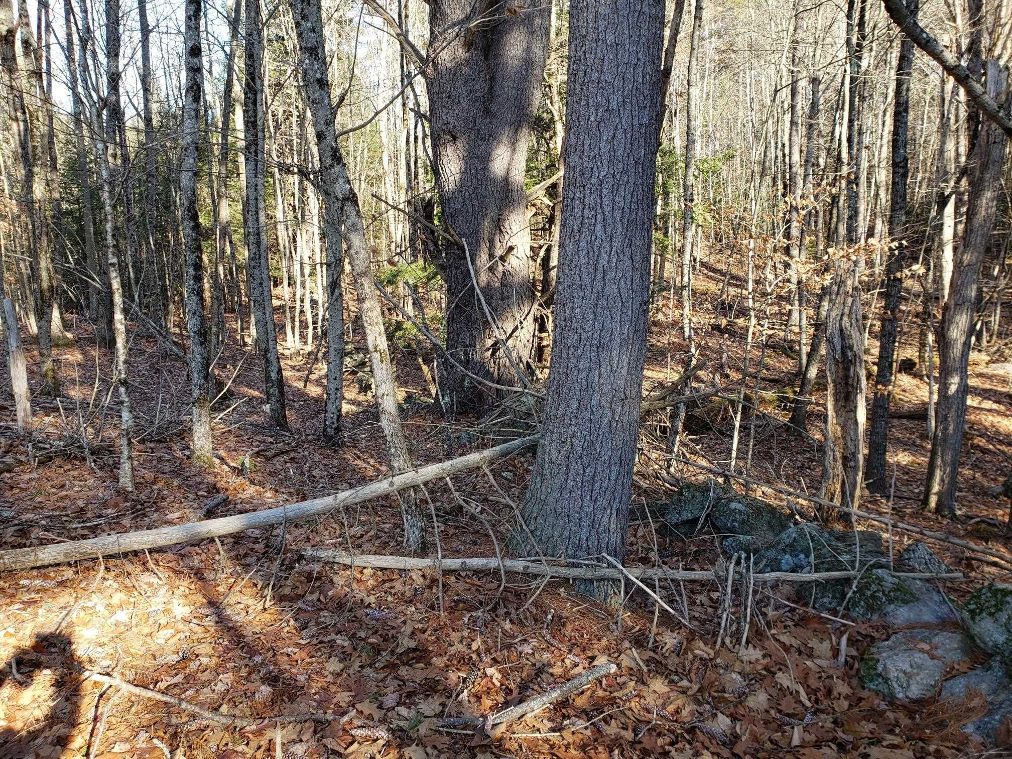 R14 Lot 10 Wildwood Drive