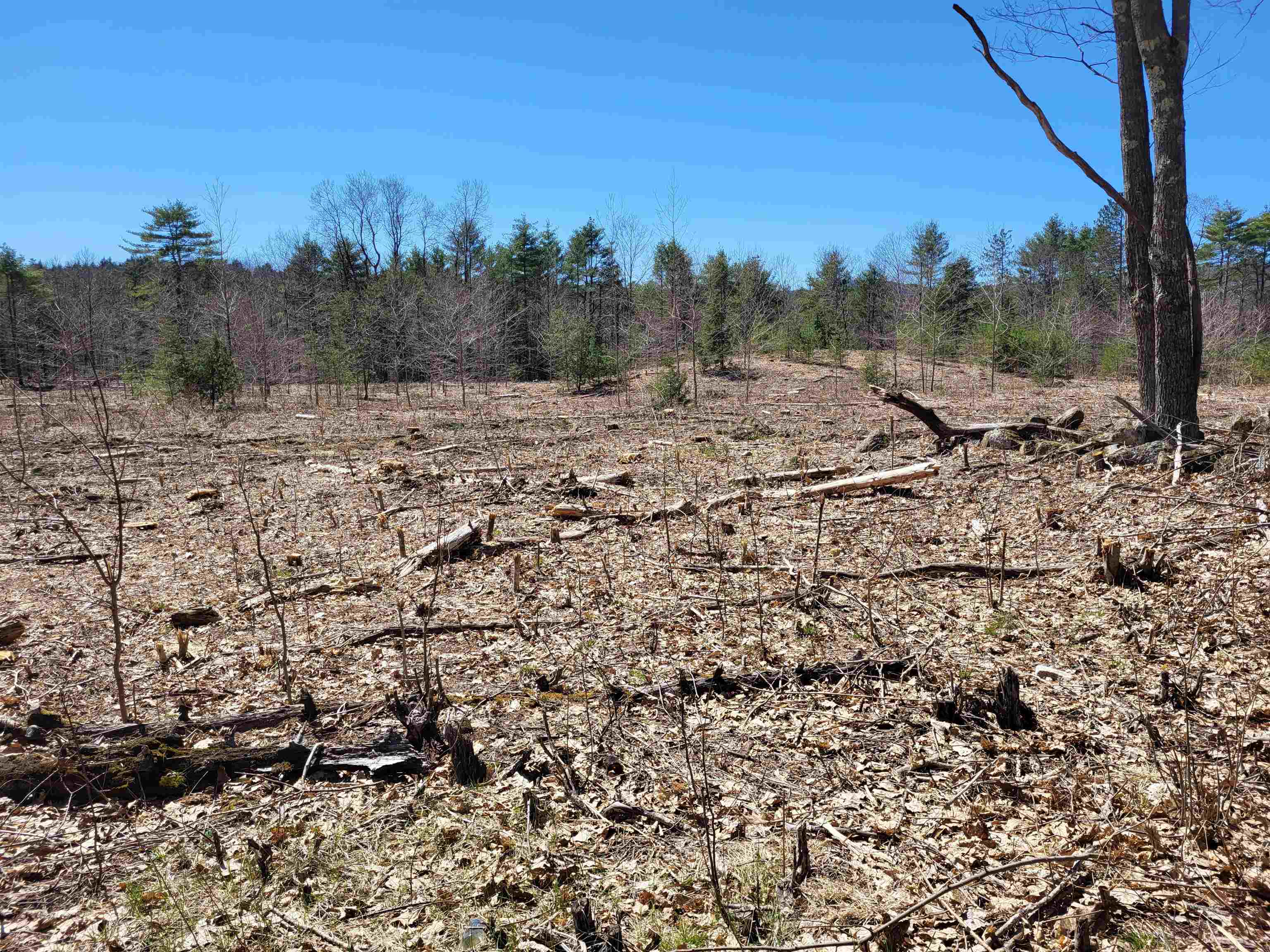 Lot 2 Depot Street Unit: 2