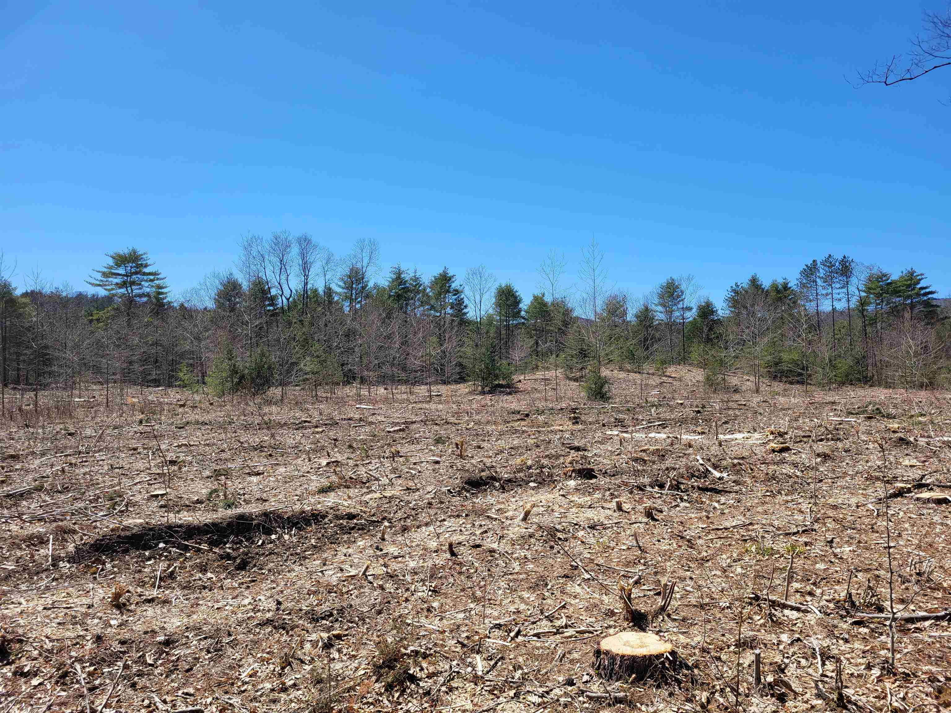 Lot 2 Depot Street Unit: 2