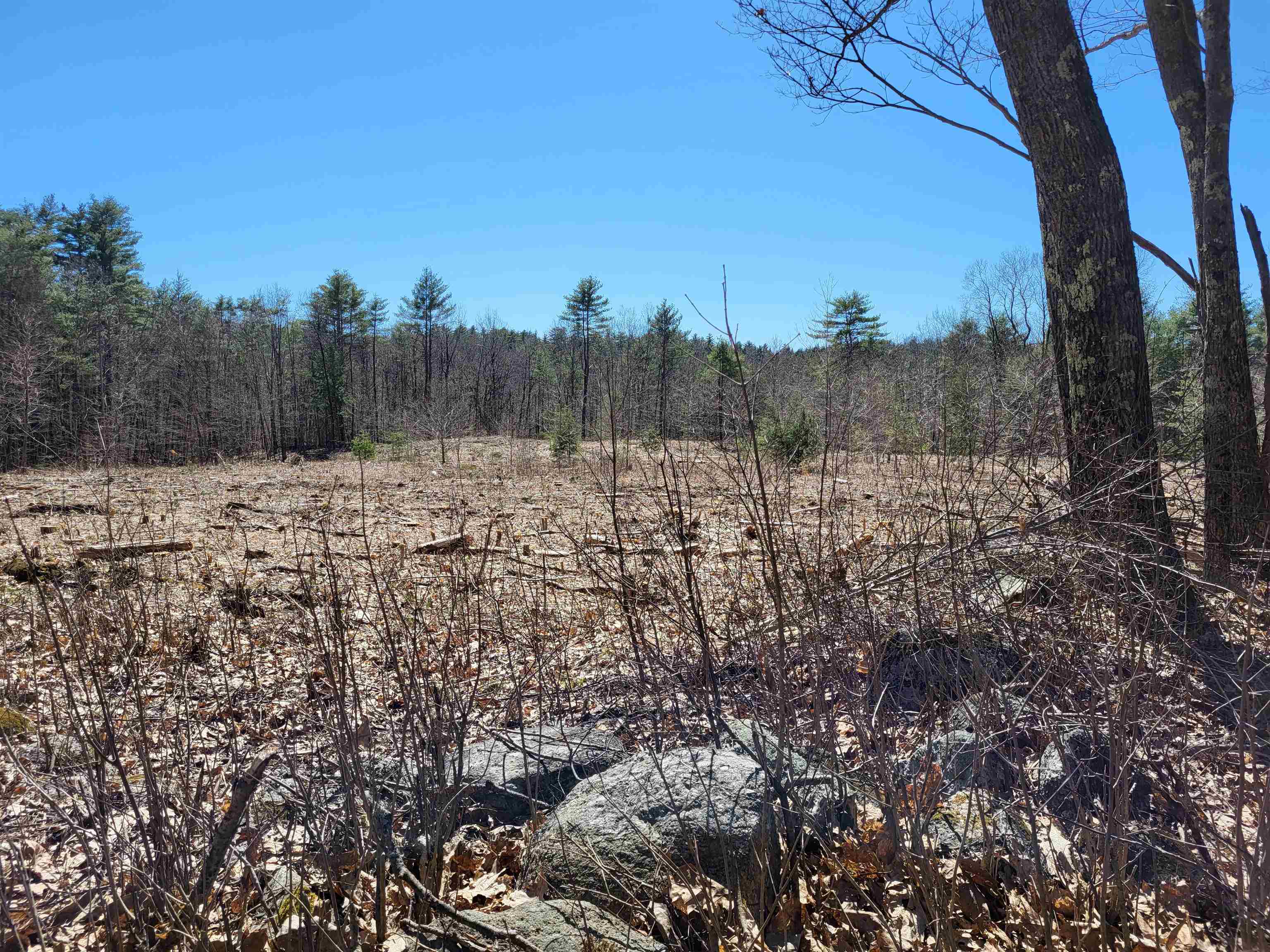 Lot 2 Depot Street Unit: 2