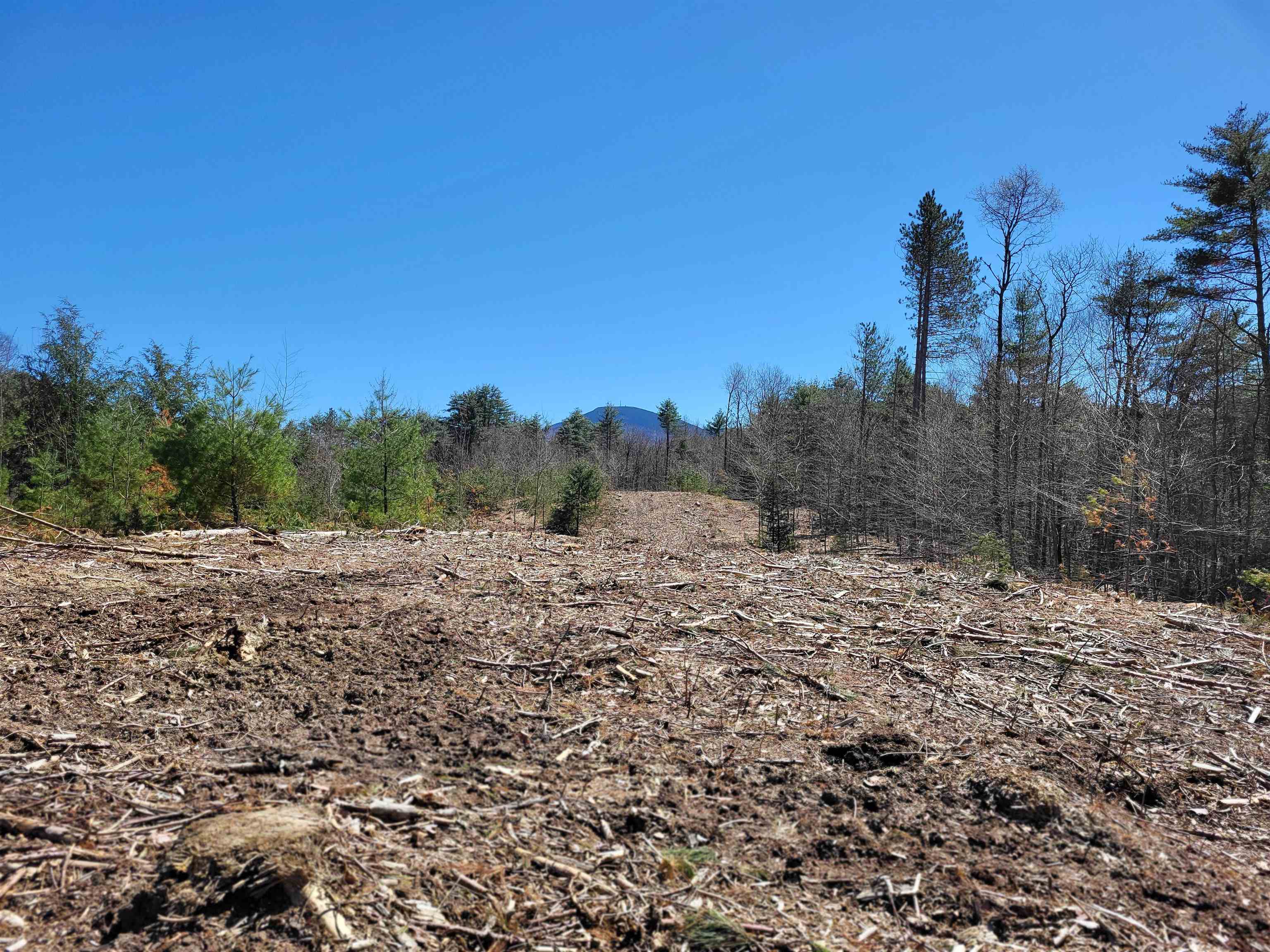 Lot 3 Depot Street Unit: 3