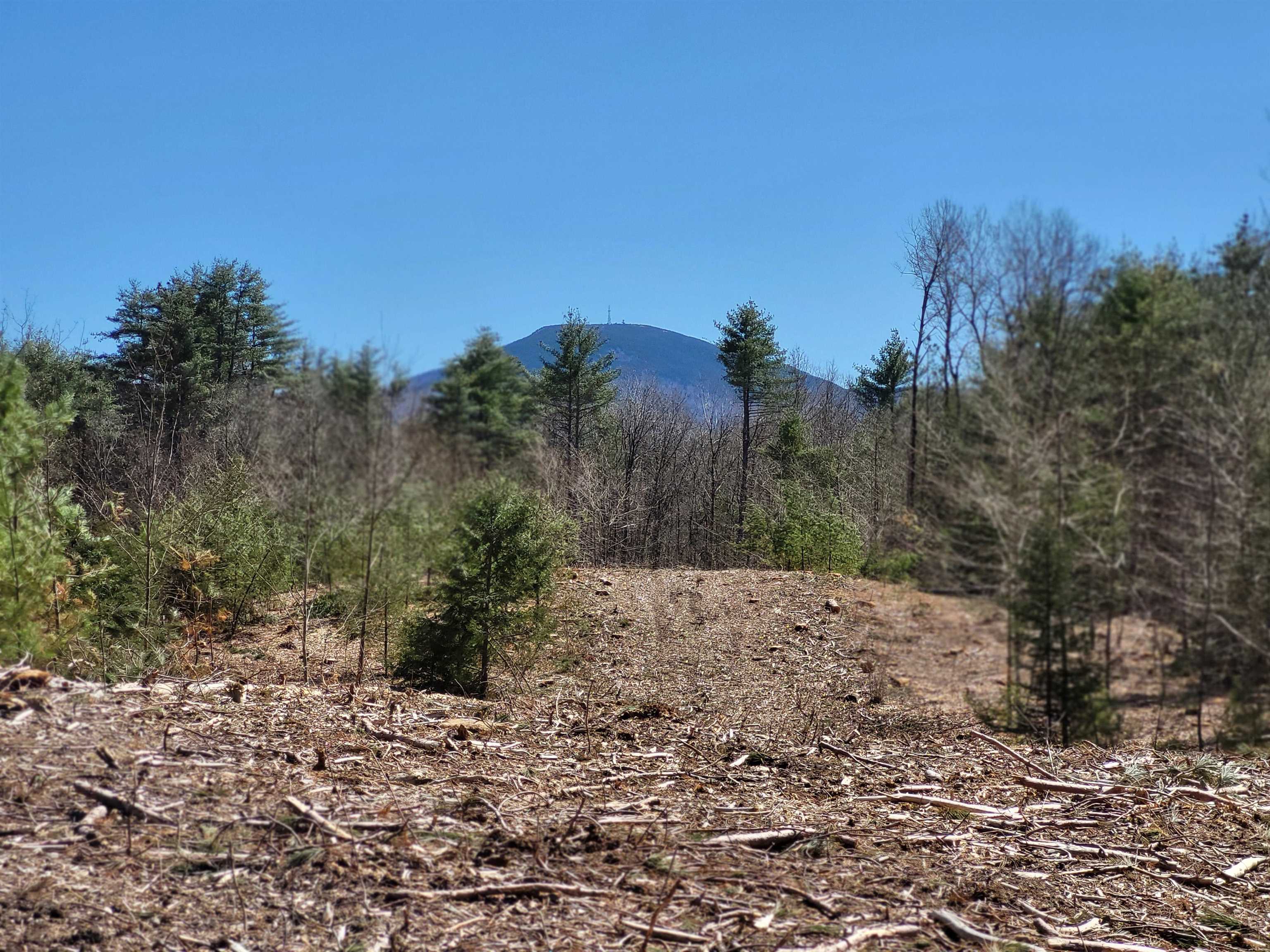 Lot 3 Depot Street Unit: 3