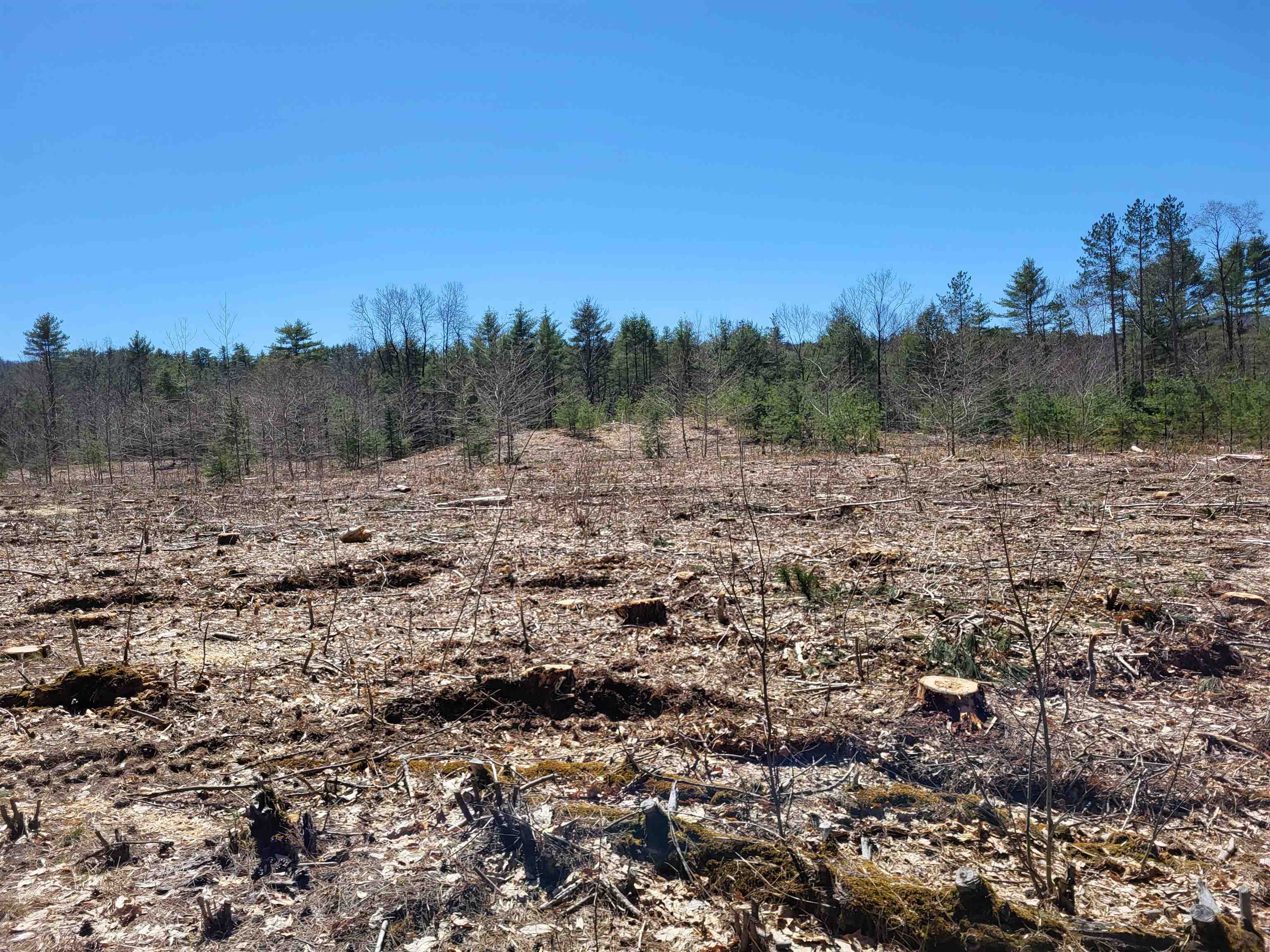 Lot 3 Depot Street Unit: 3