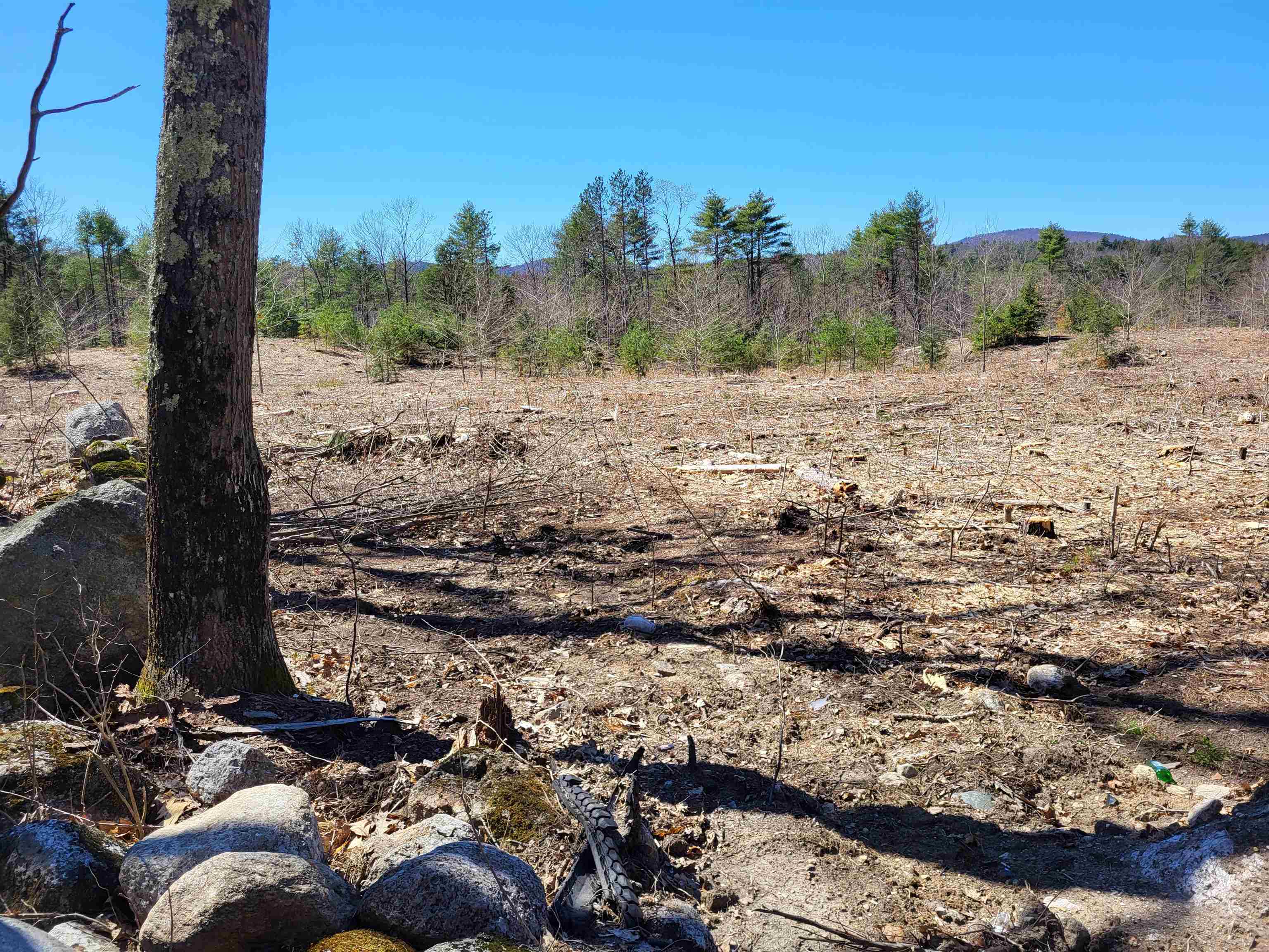 Lot 3 Depot Street Unit: 3