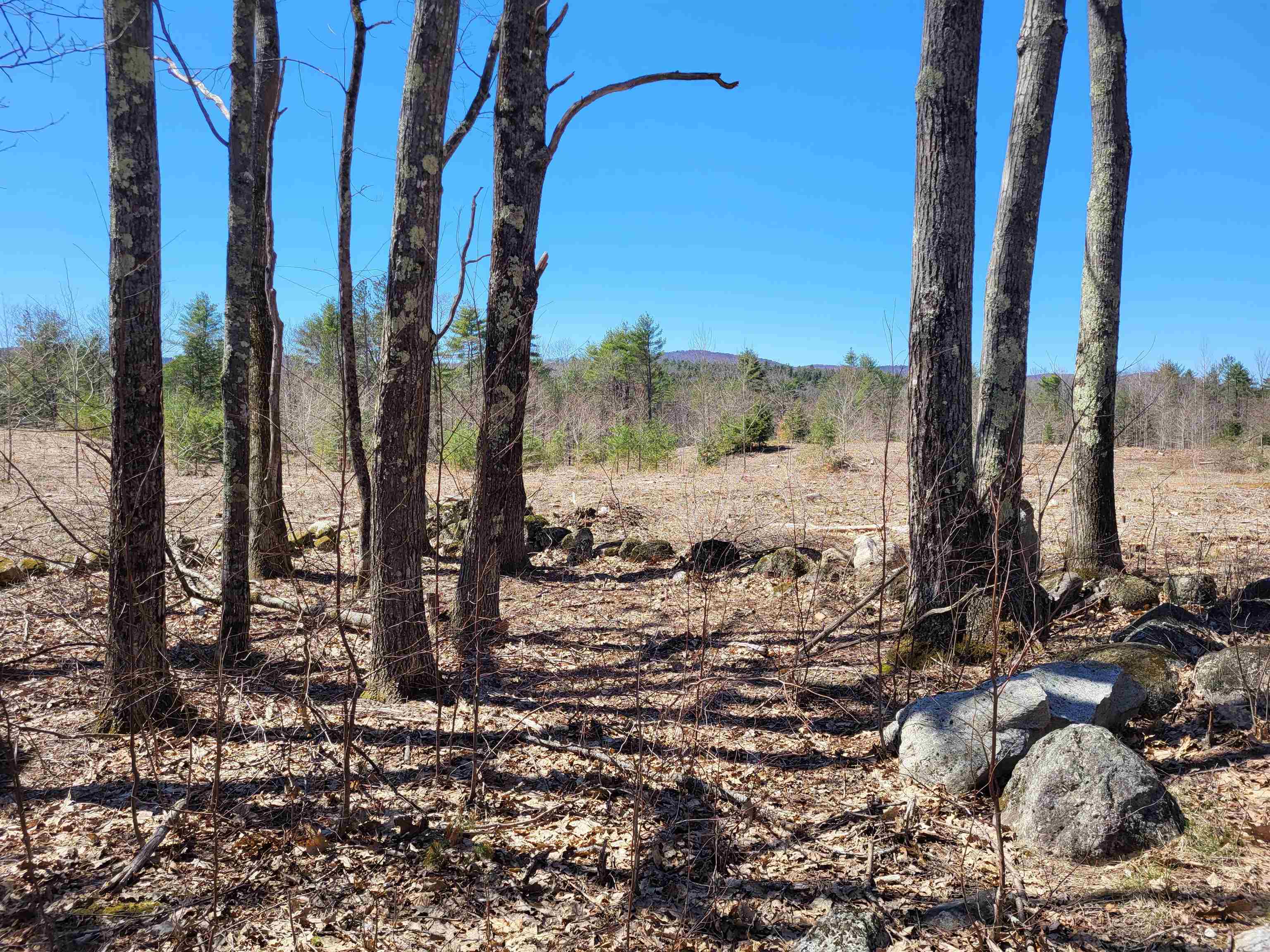 Lot 3 Depot Street Unit: 3