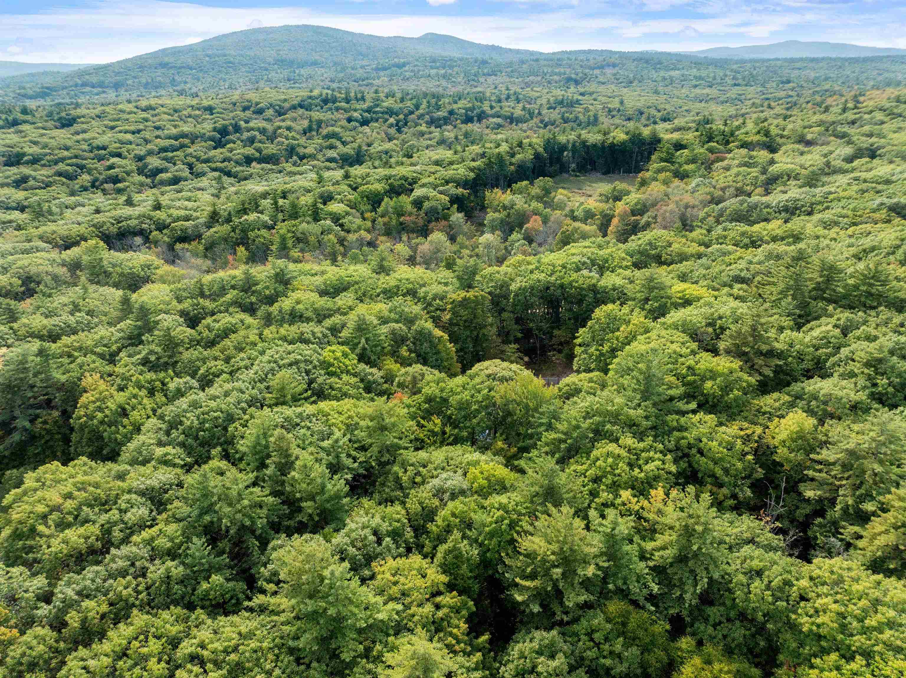 39 Prospect Hil Road