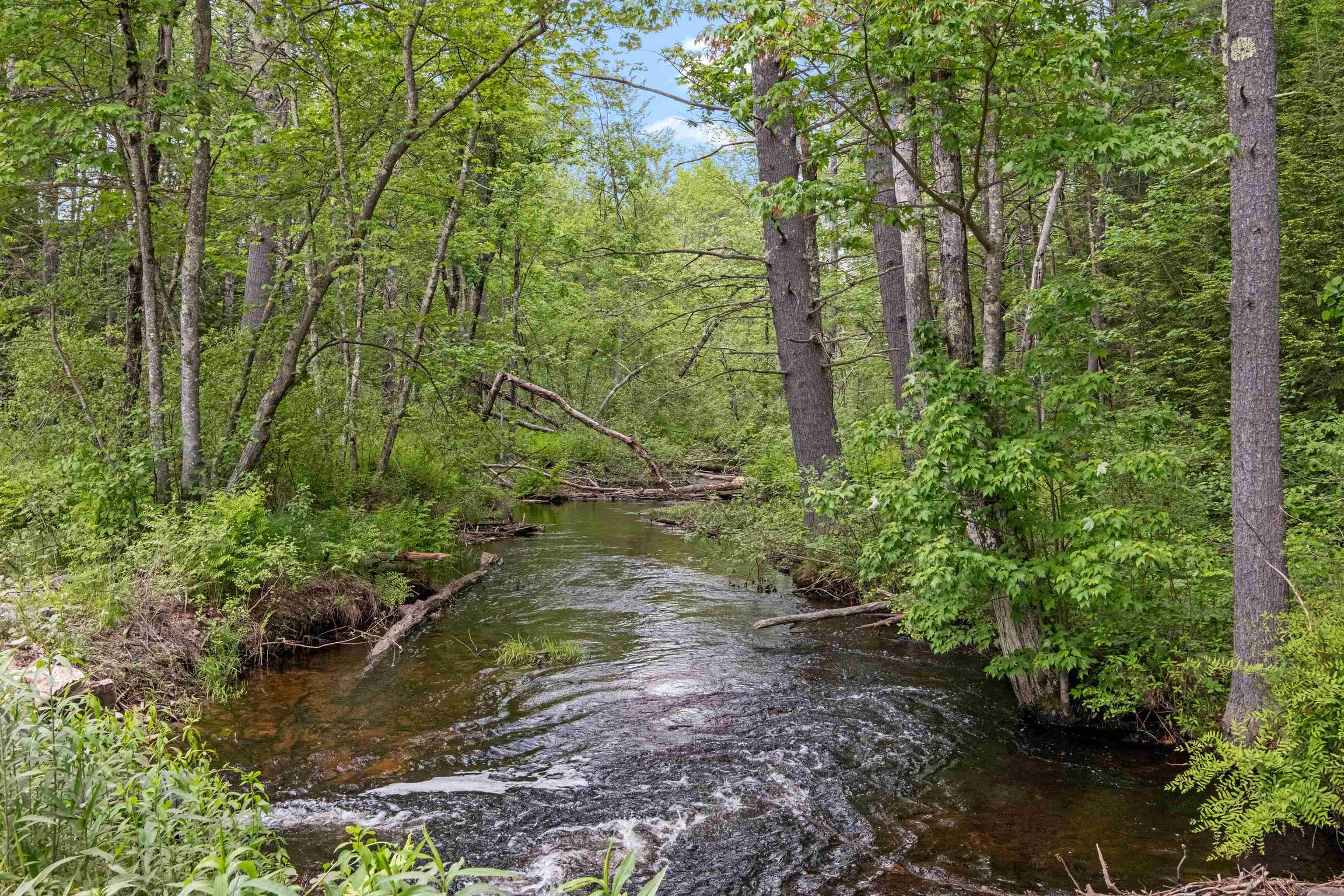 1542 Clement Hill Road