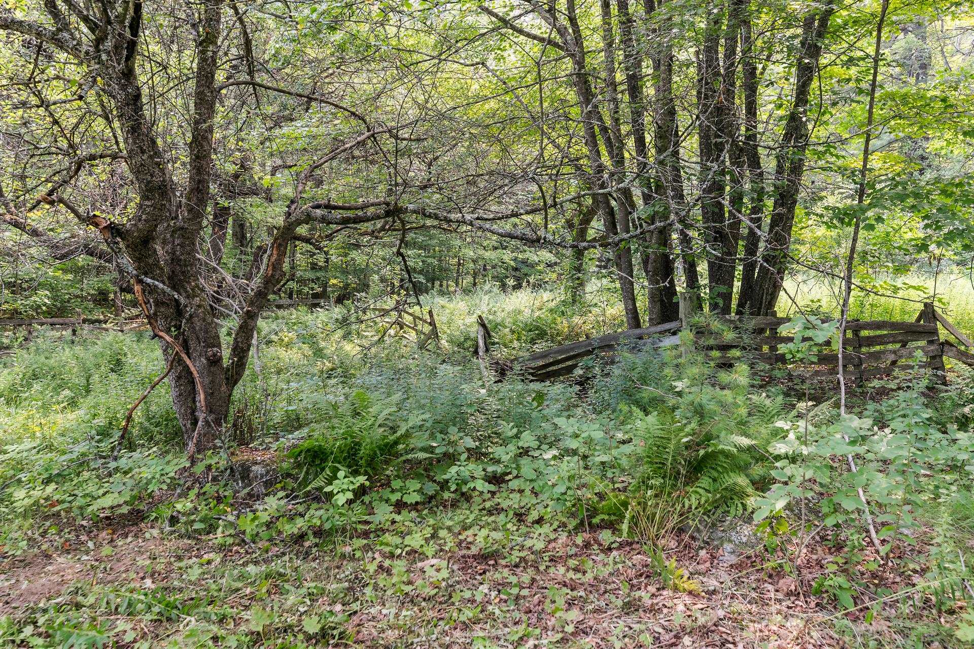 573 Concord End Road