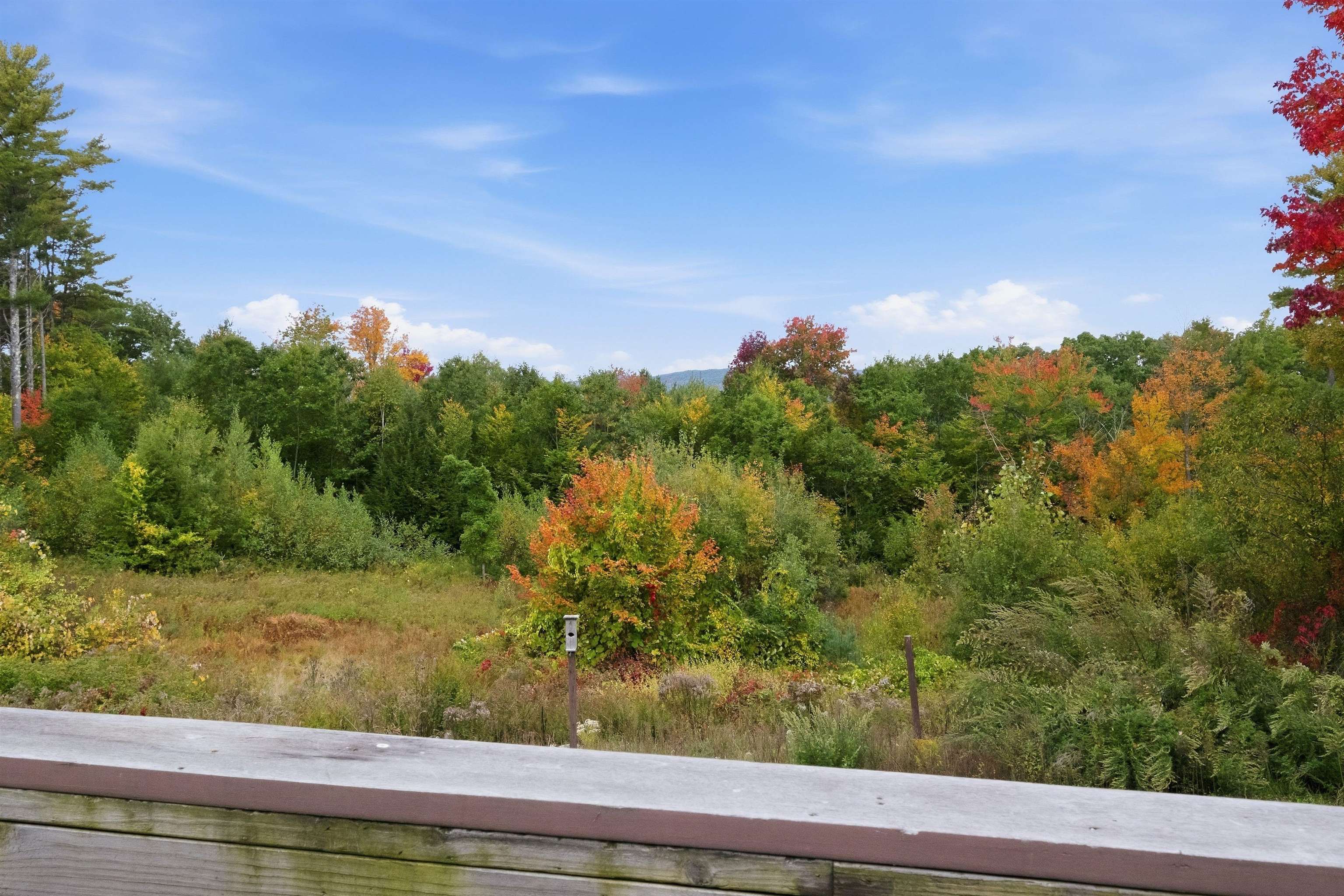 Wooded property view with autumn foliage, a birdhouse, and a distant mountain ridge.