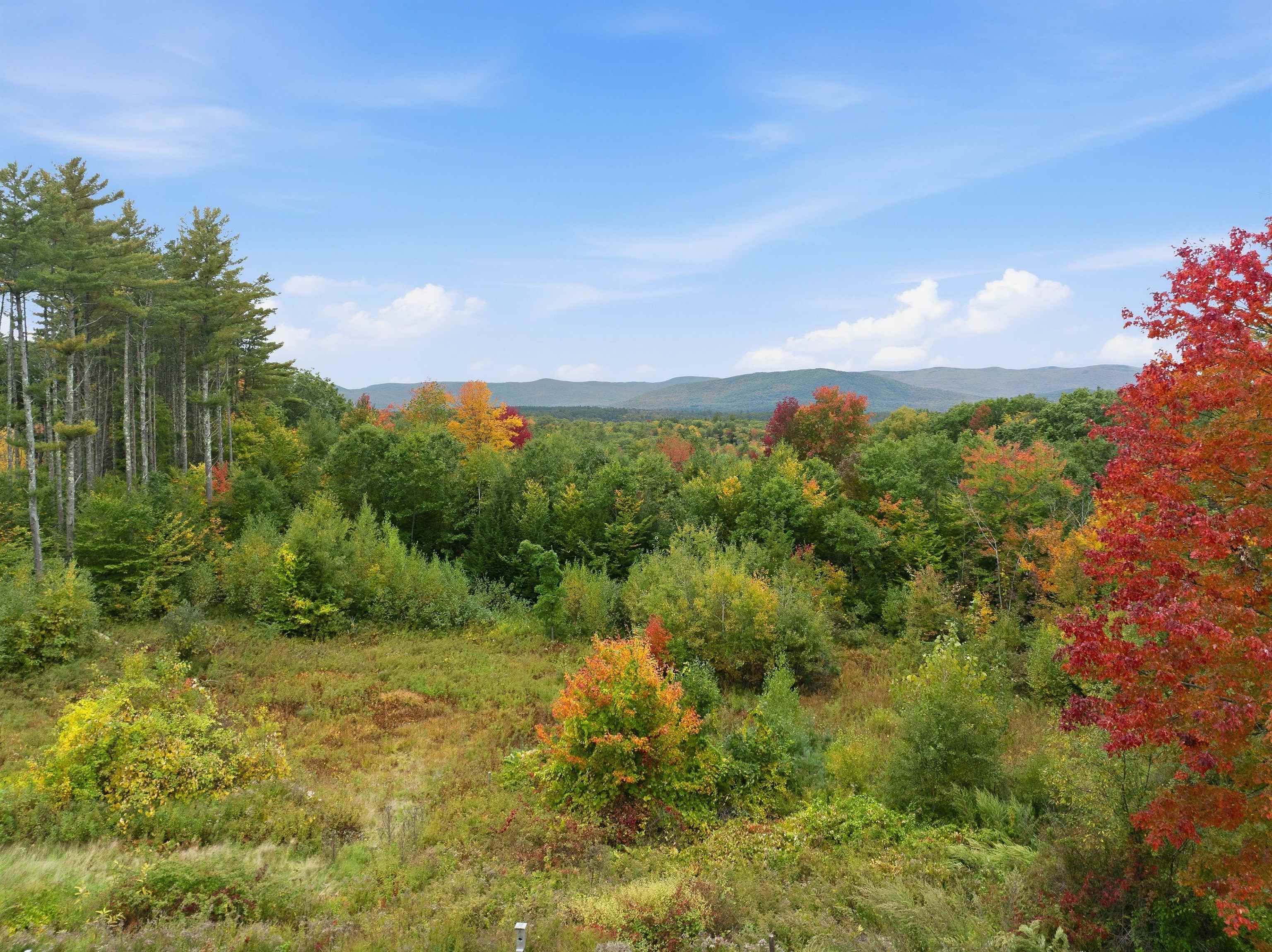 Wooded property with colorful autumn foliage and a distant mountain ridge.