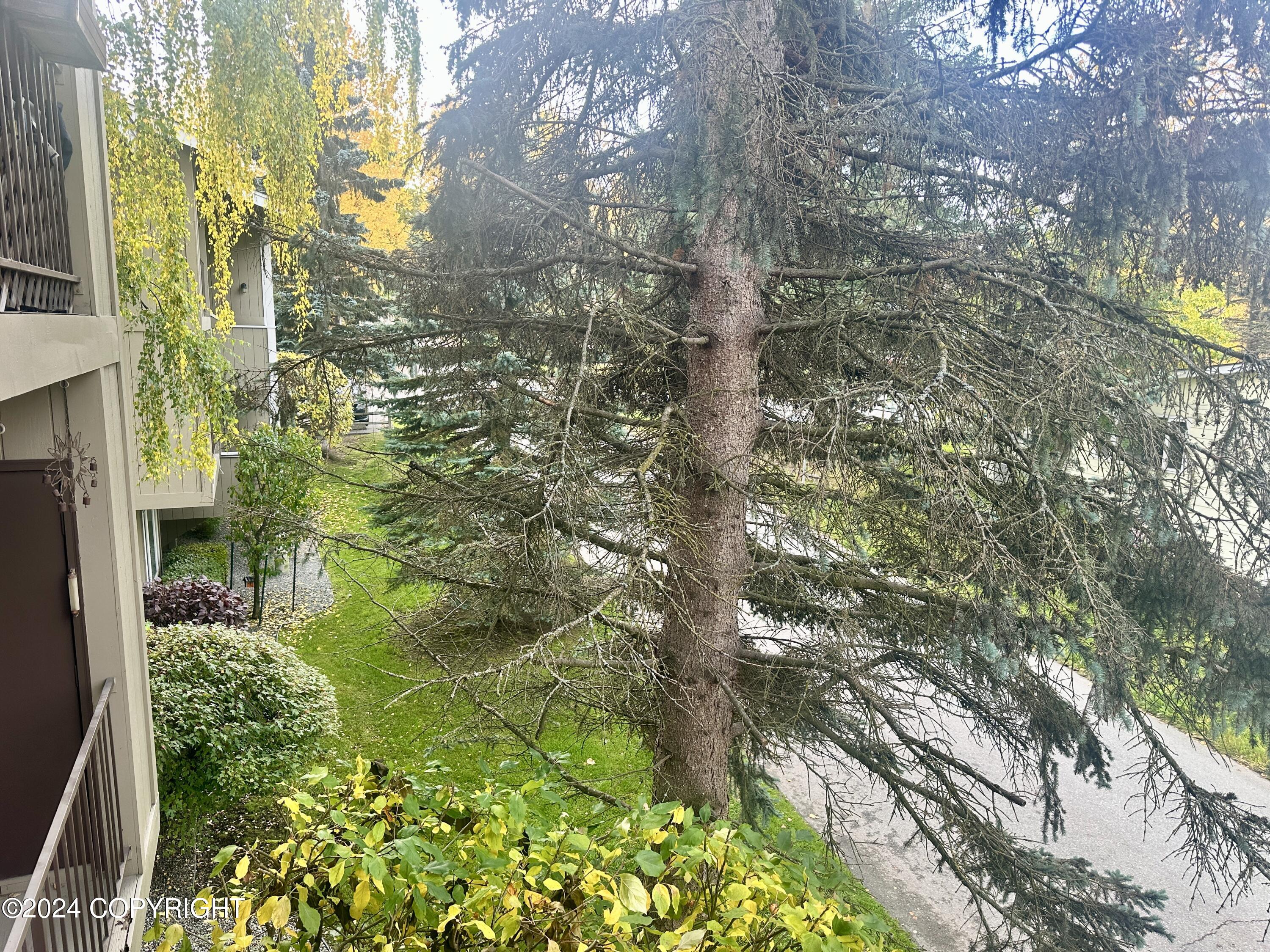 6021 Chevigny Street # 14 Unit: #A-14