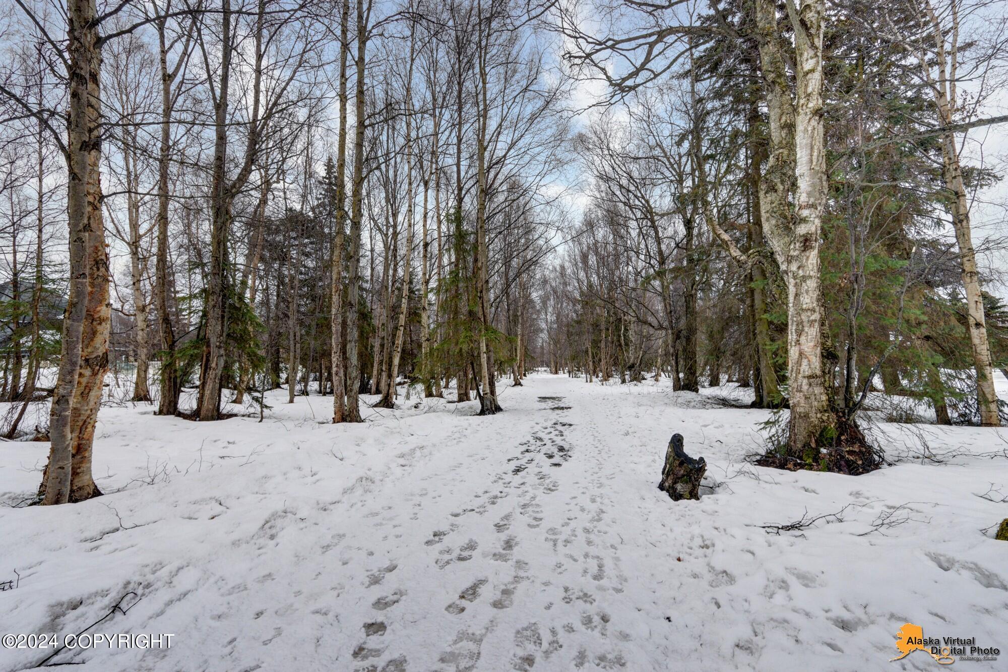 720 Botanical Heights Circle