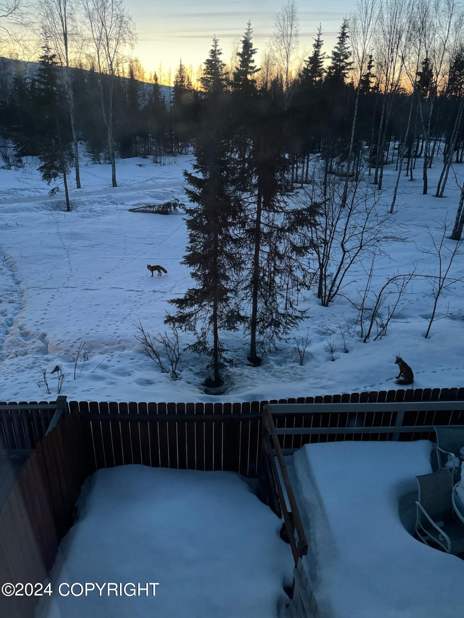 7086 Fairweather Park Loop # 11A Unit: #11A