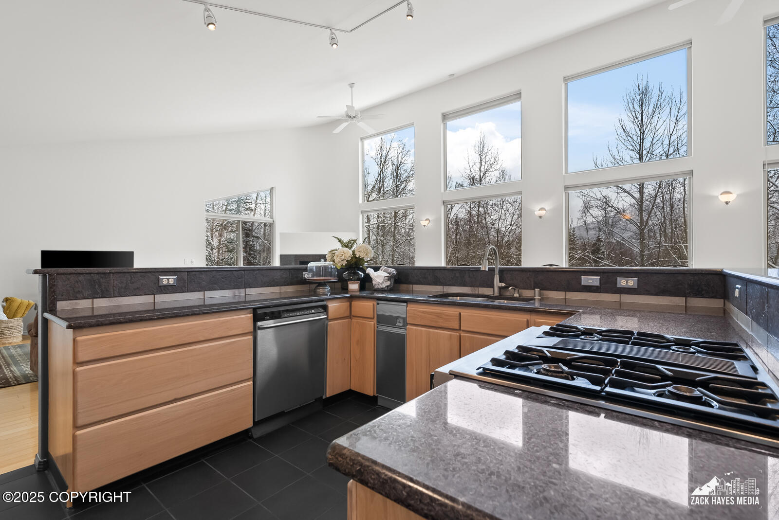 22416 Eagle Glacier Loop