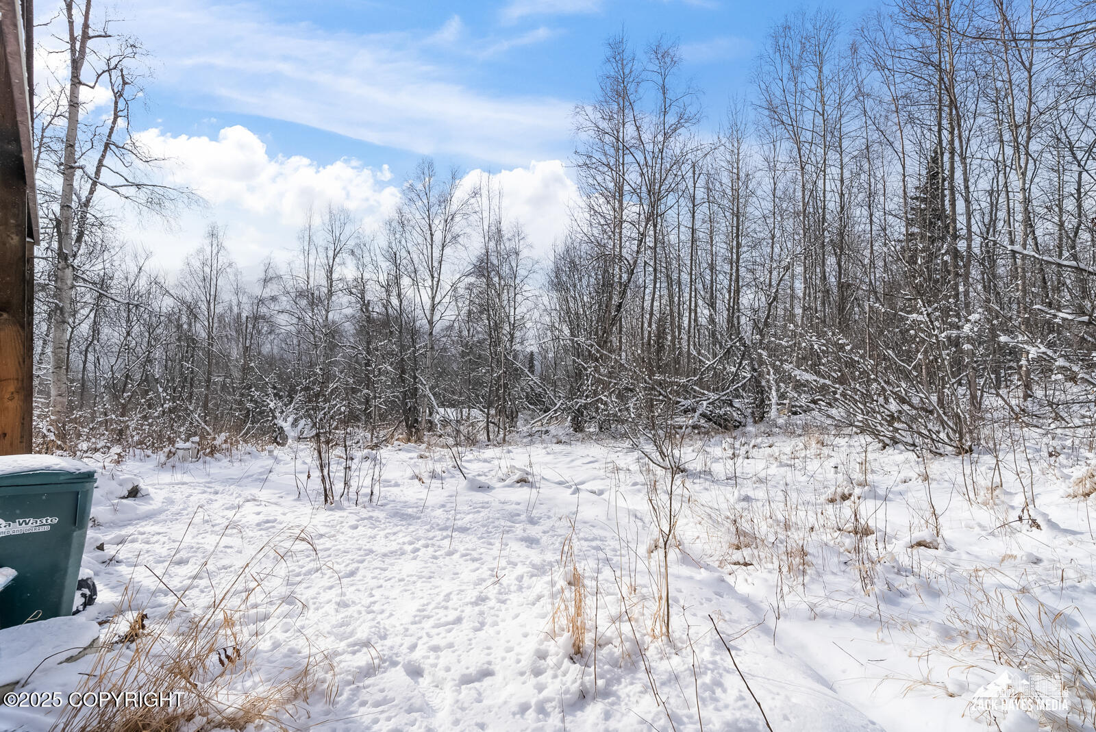 22416 Eagle Glacier Loop