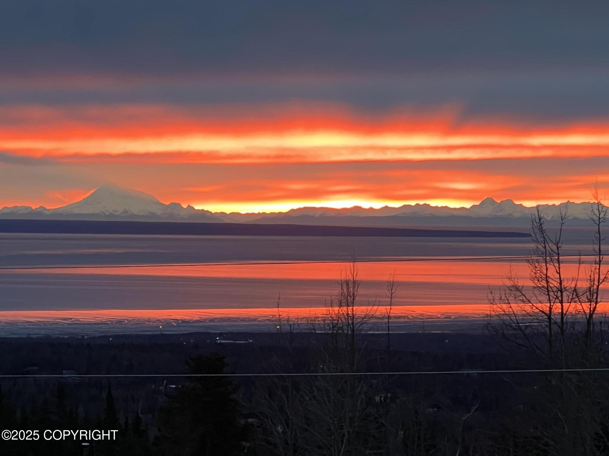 11380 Stroganof Drive