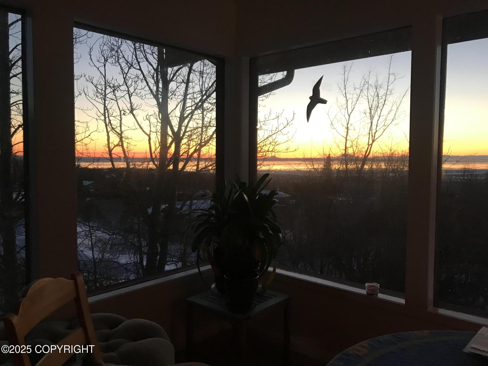 11380 Stroganof Drive