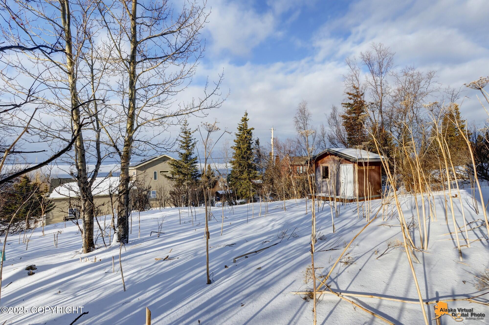 11380 Stroganof Drive