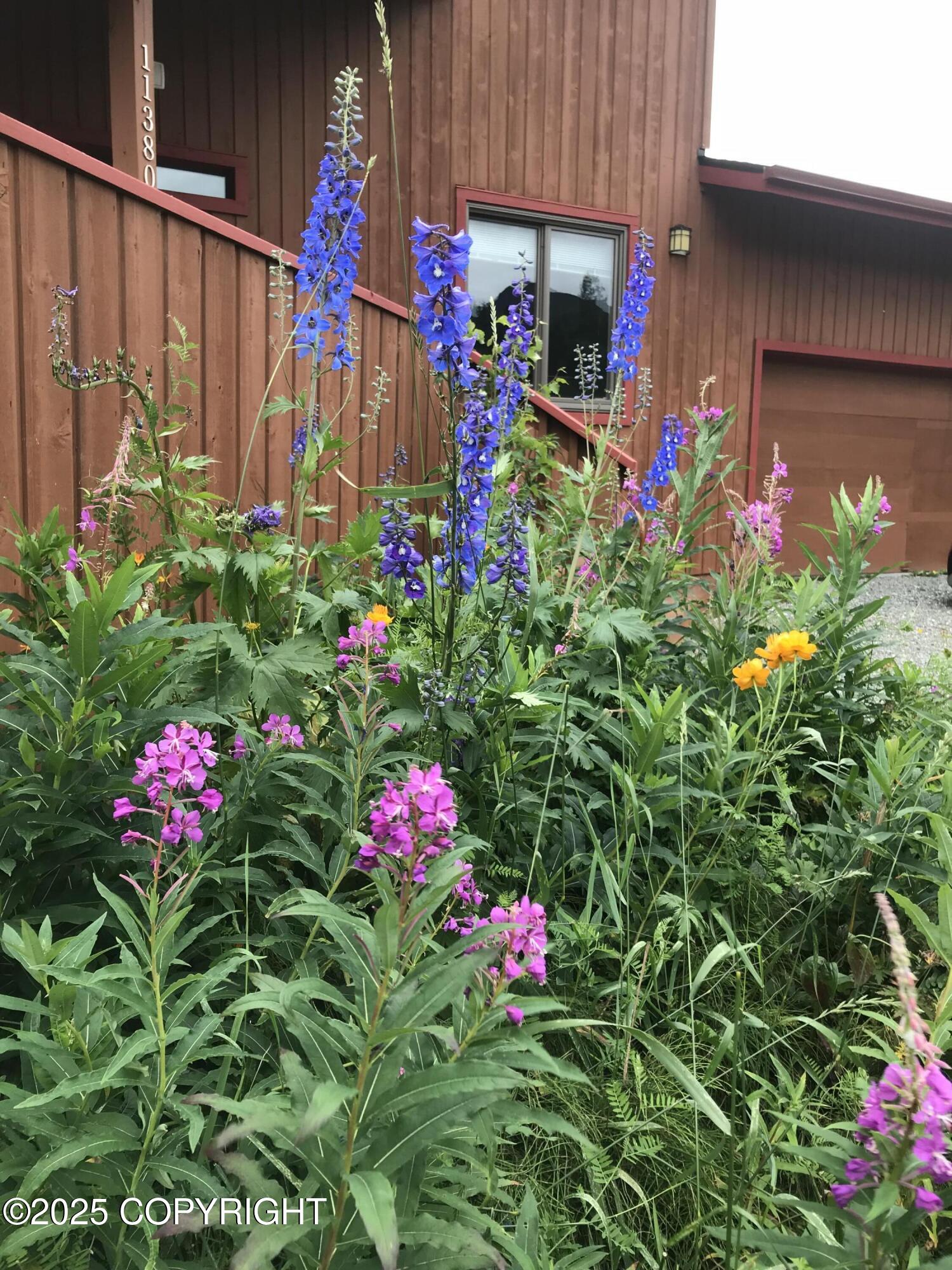 11380 Stroganof Drive