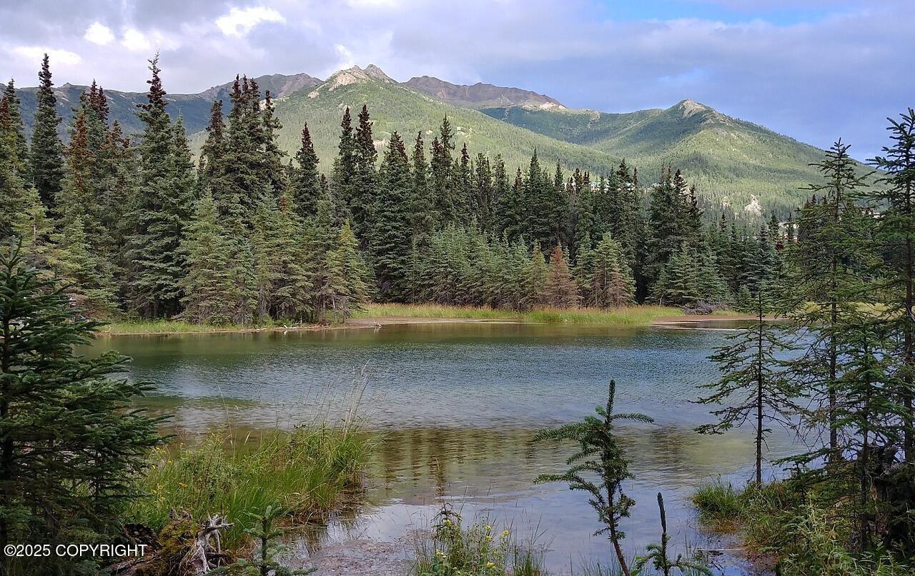 36430 Cozy Firelight Street