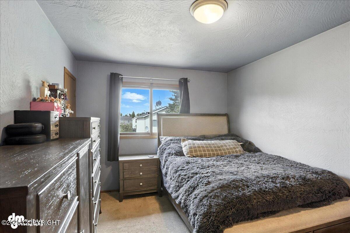 6260 Newt Drive