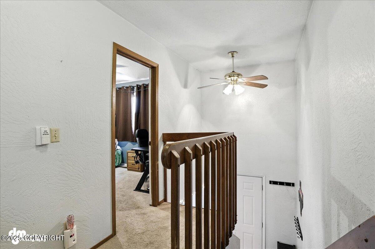 6260 Newt Drive