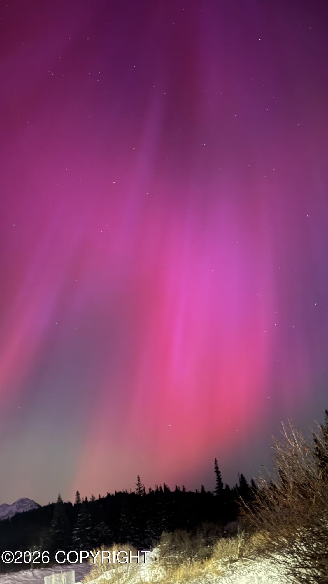 19296 Potter Highlands Drive