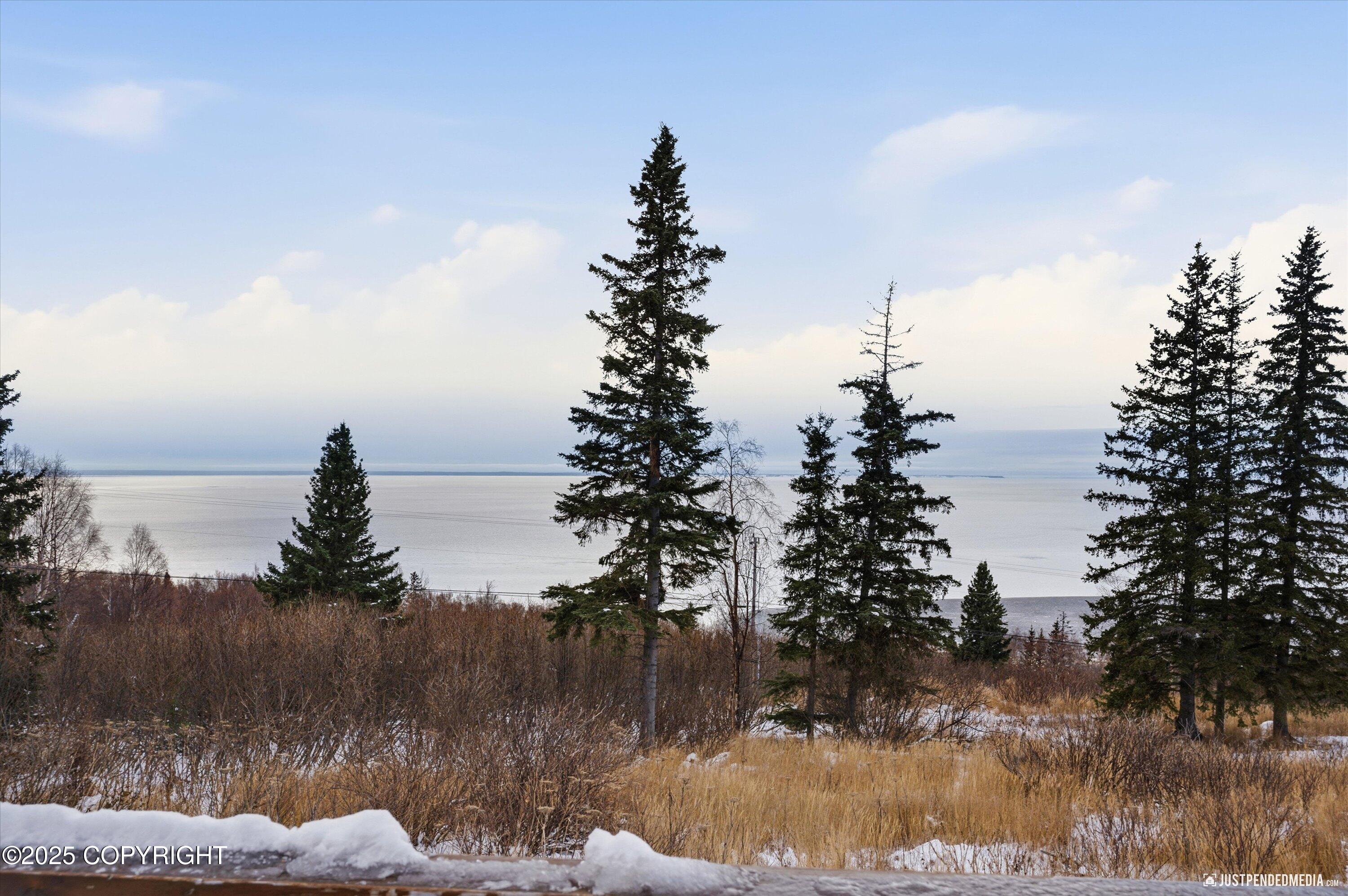 18960 Potter View Circle