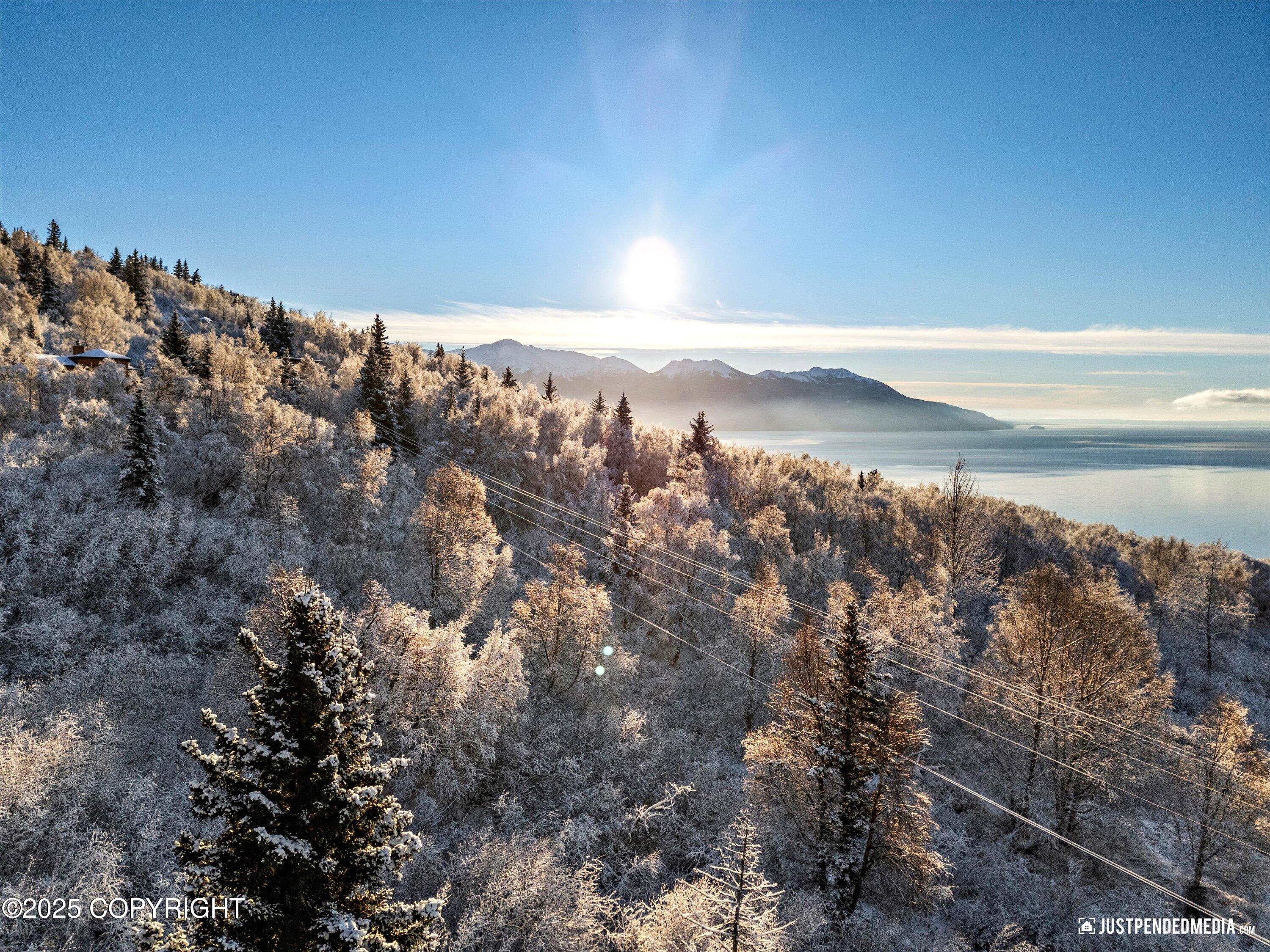 18960 Potter View Circle