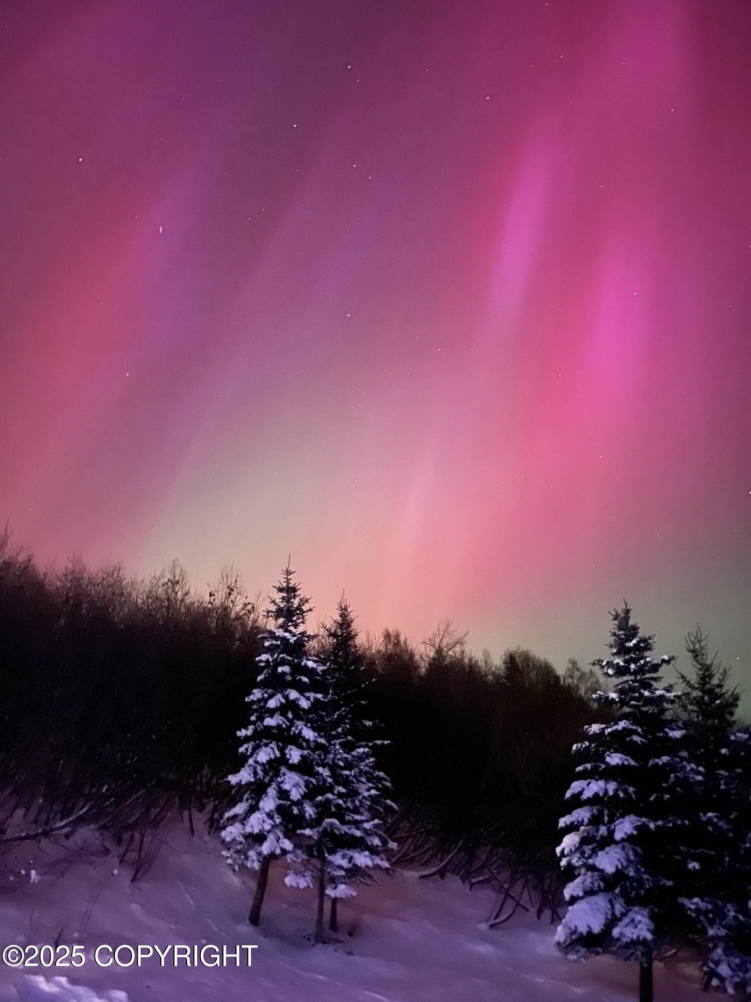 18960 Potter View Circle