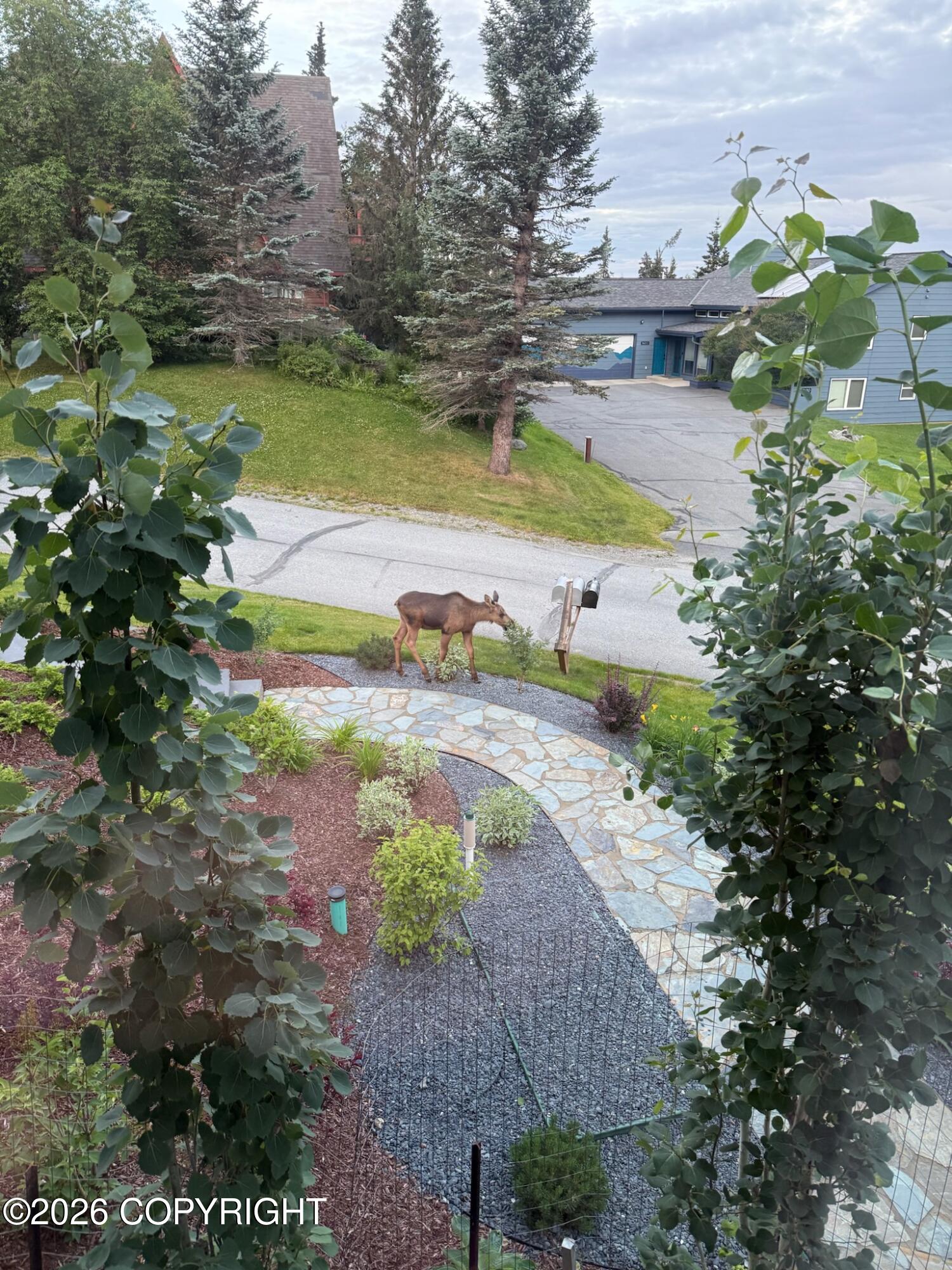 7509 Beacon Hill Drive