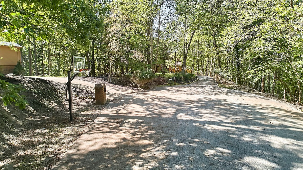 12 Dunlevy Road