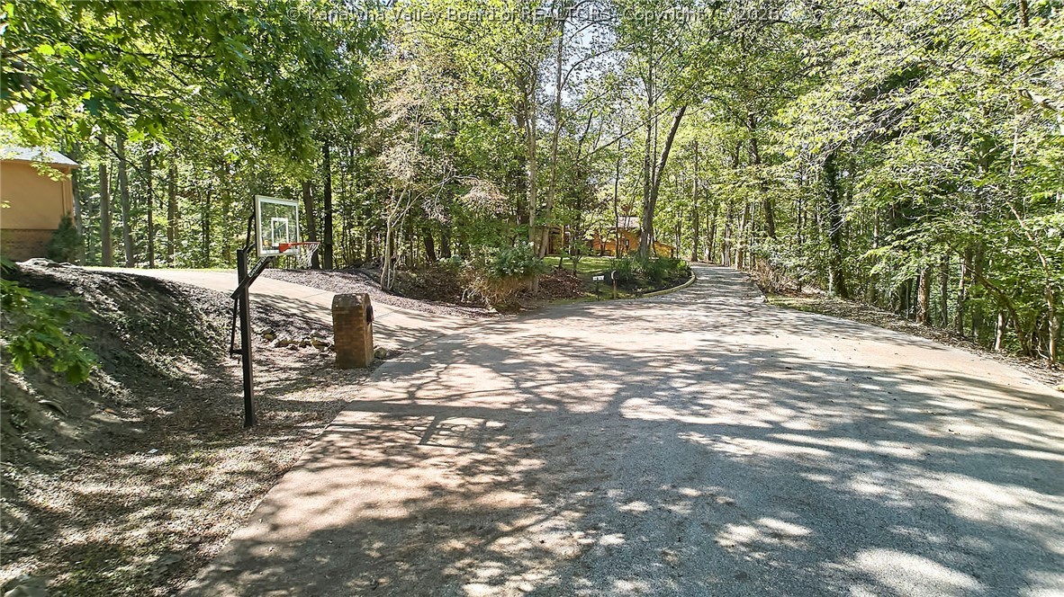 12 Dunlevy Road