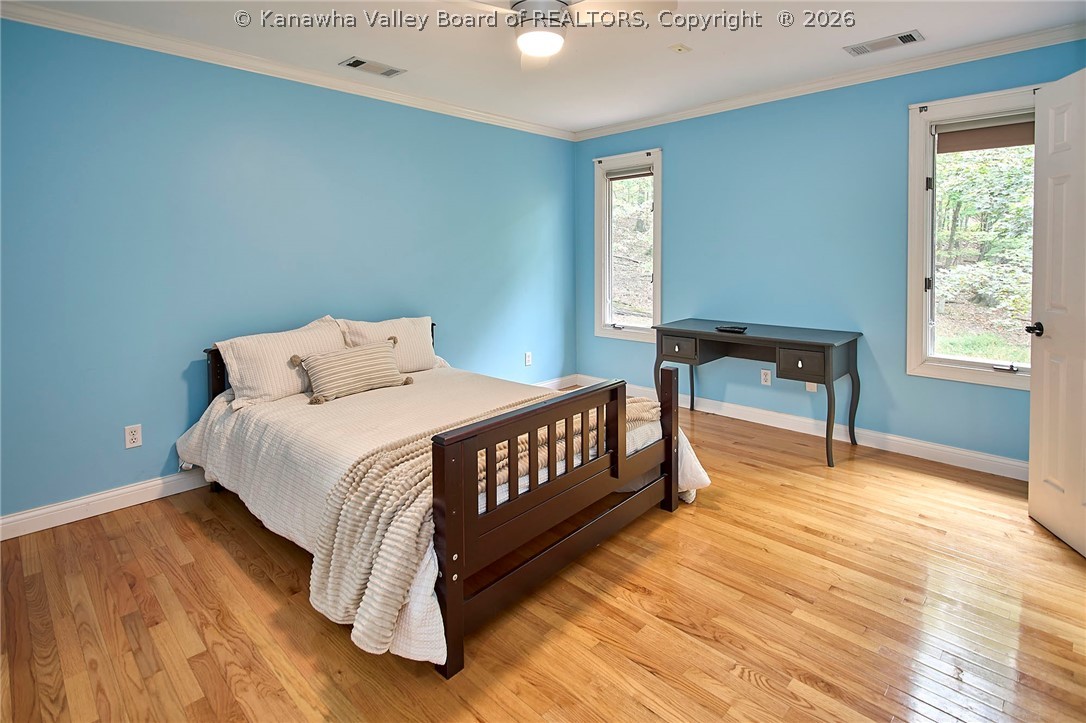 12 Dunlevy Road