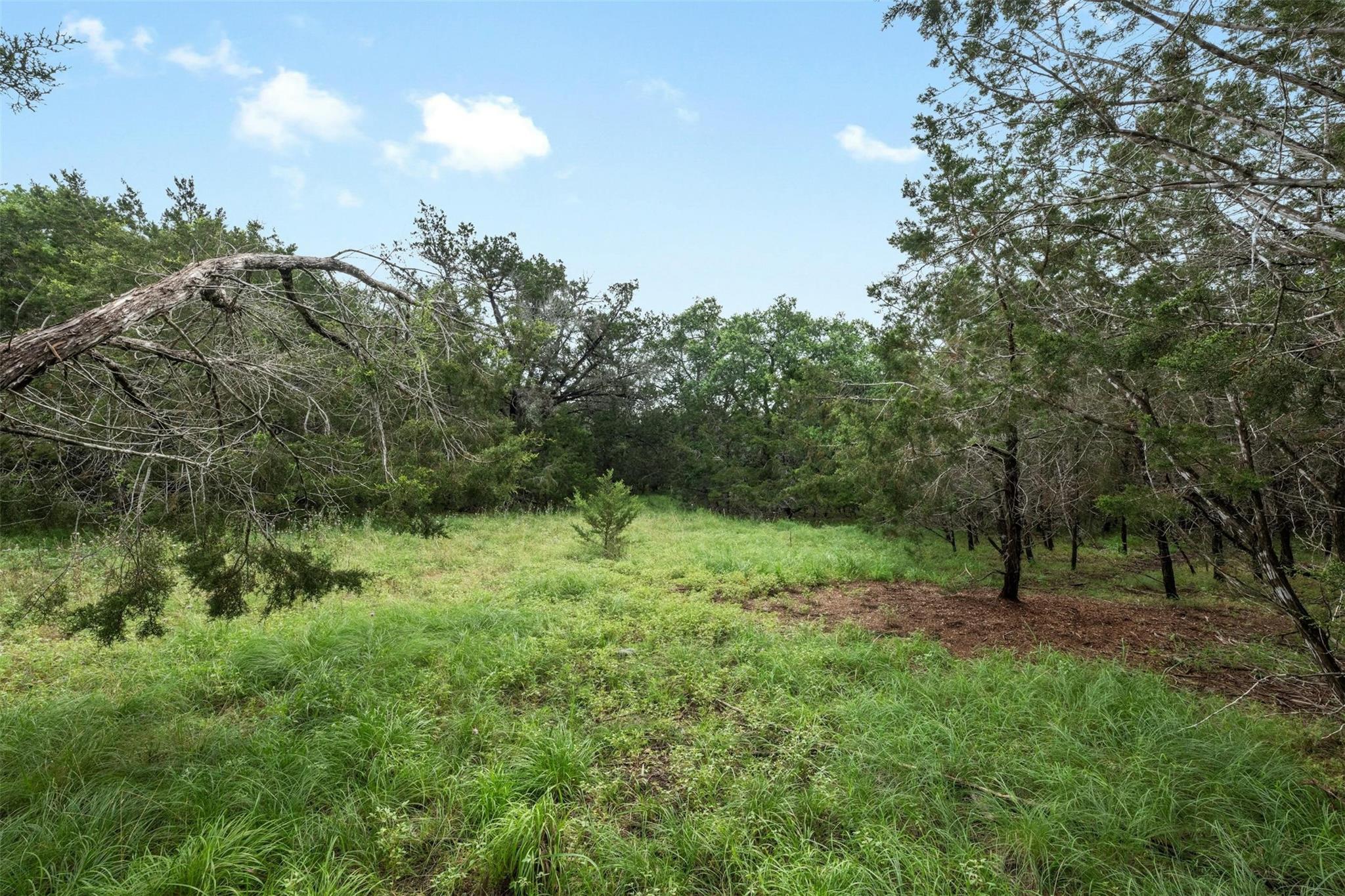 1005 Covered Bridge DR