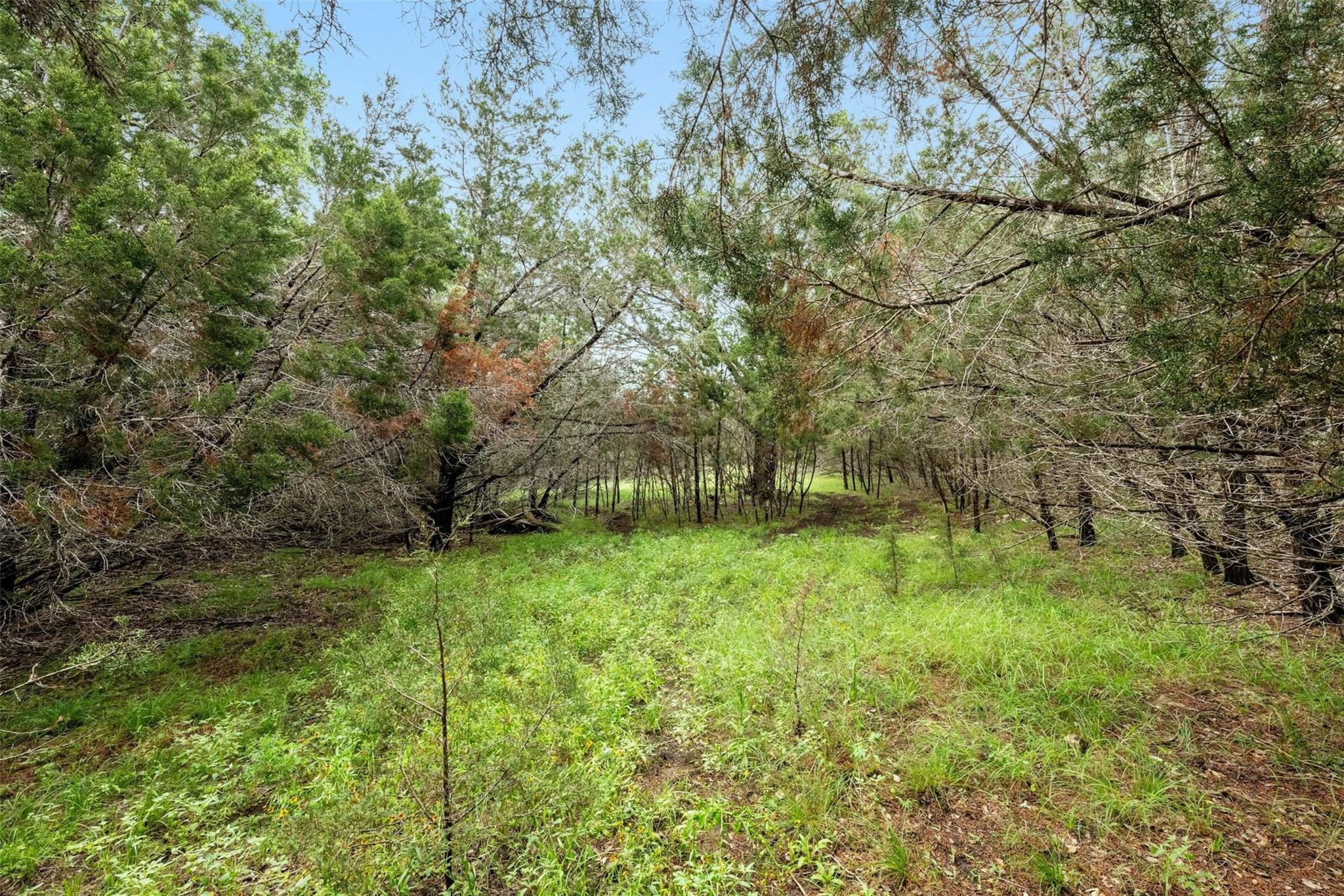 1005 Covered Bridge DR
