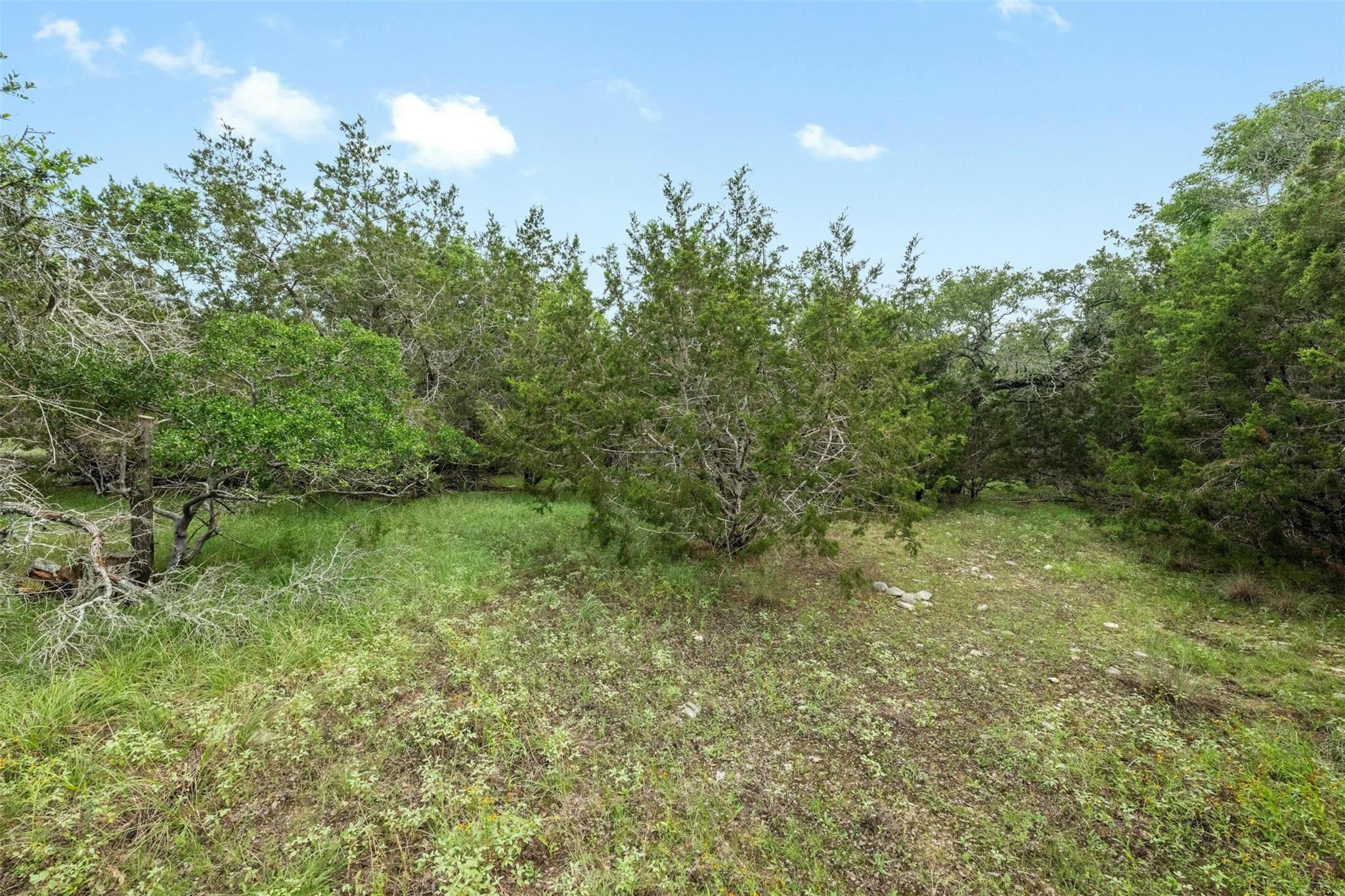 1005 Covered Bridge DR