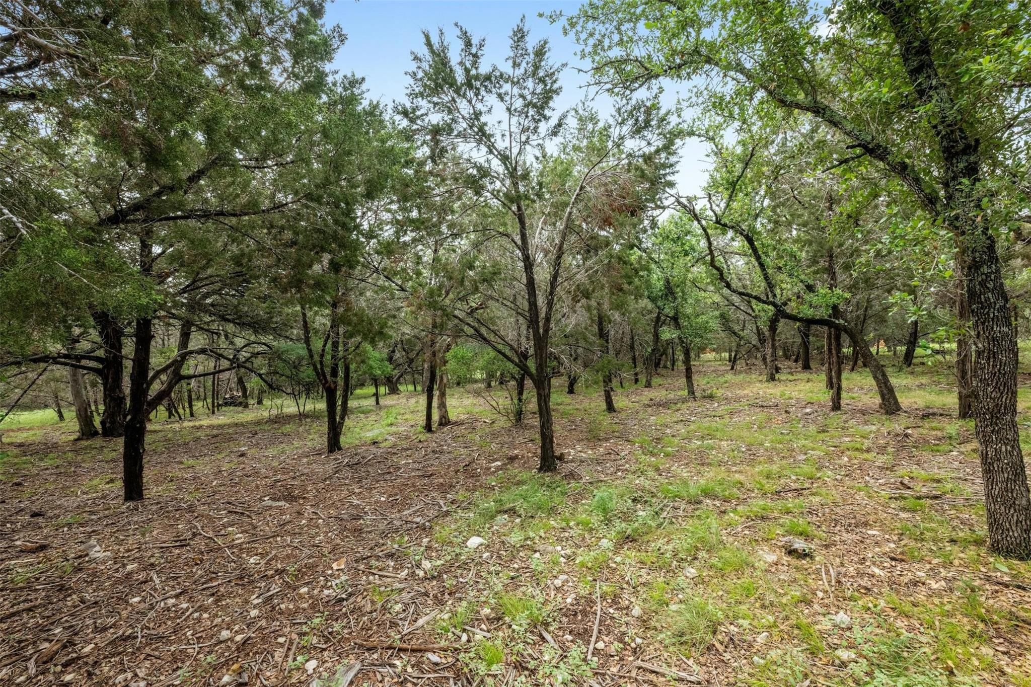 1005 Covered Bridge DR