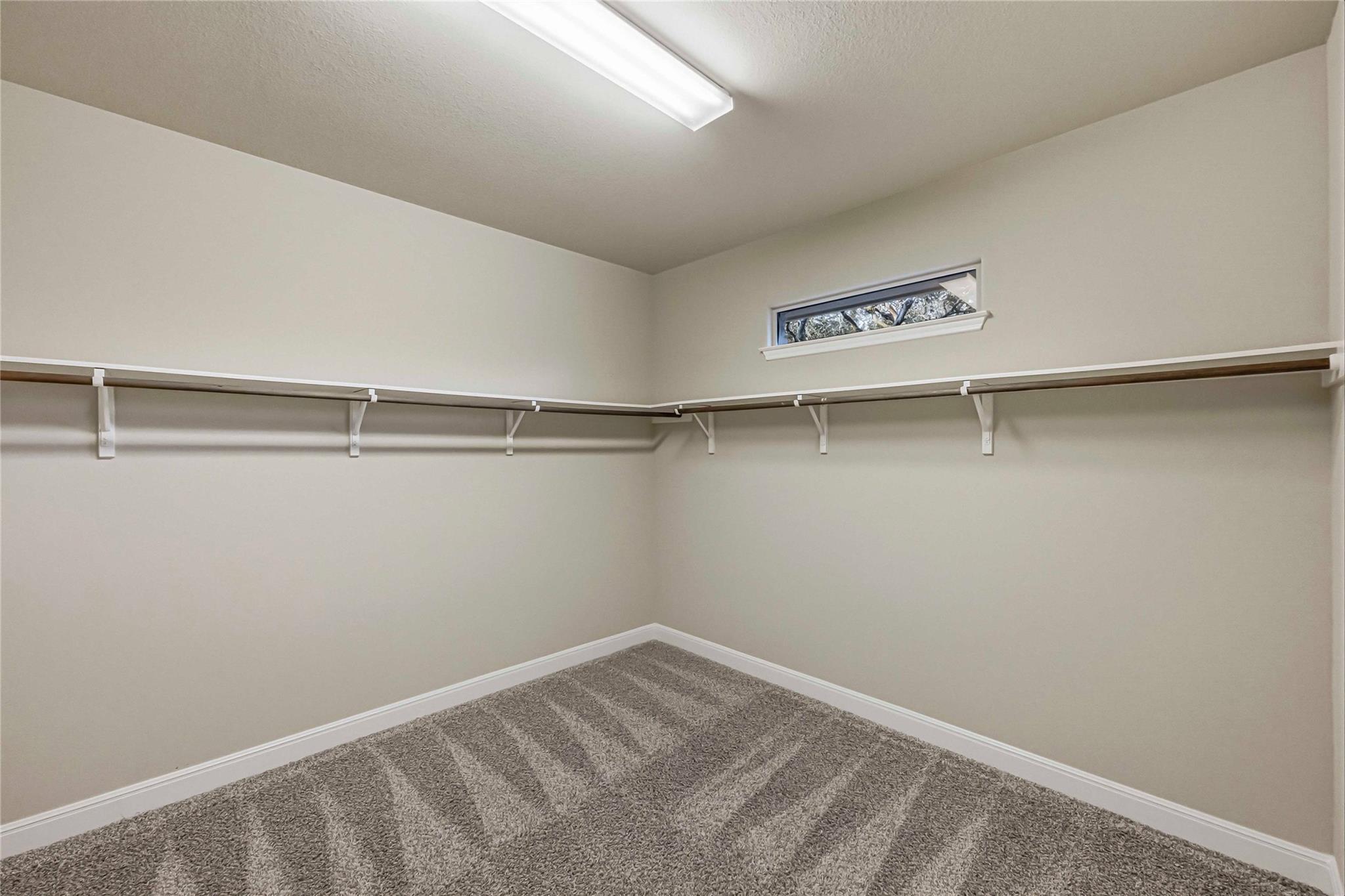 217 Shallow Water CV