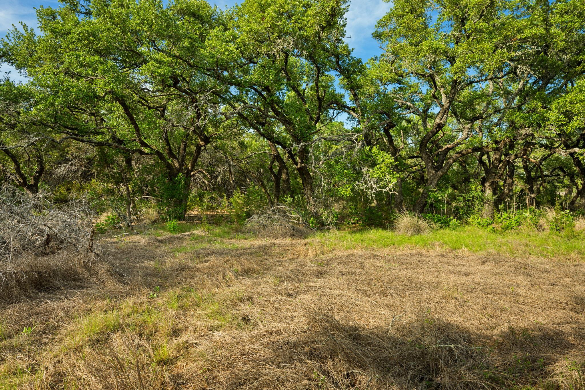 Tract 1 Esperanza Trail